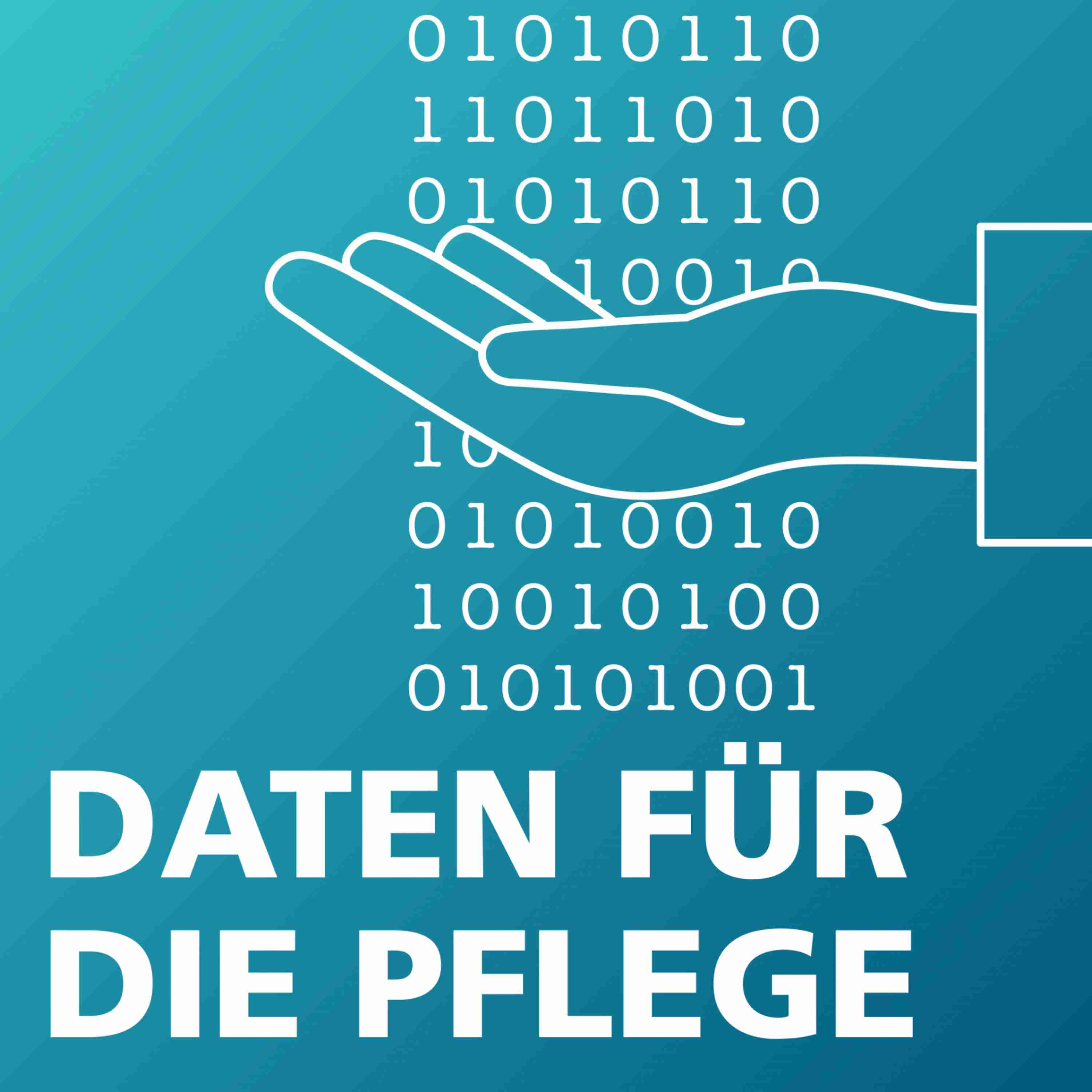 Projekt PFLIP #6 - Die Datenräumer - Podcast