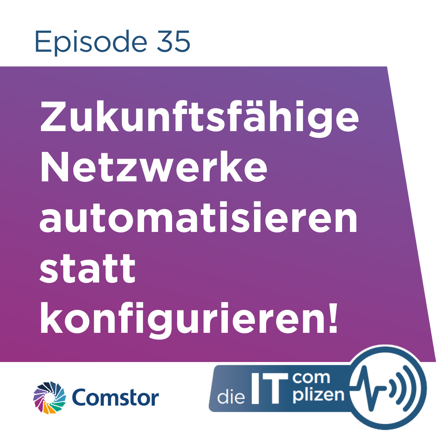 Comstor - Die IT Complizen
