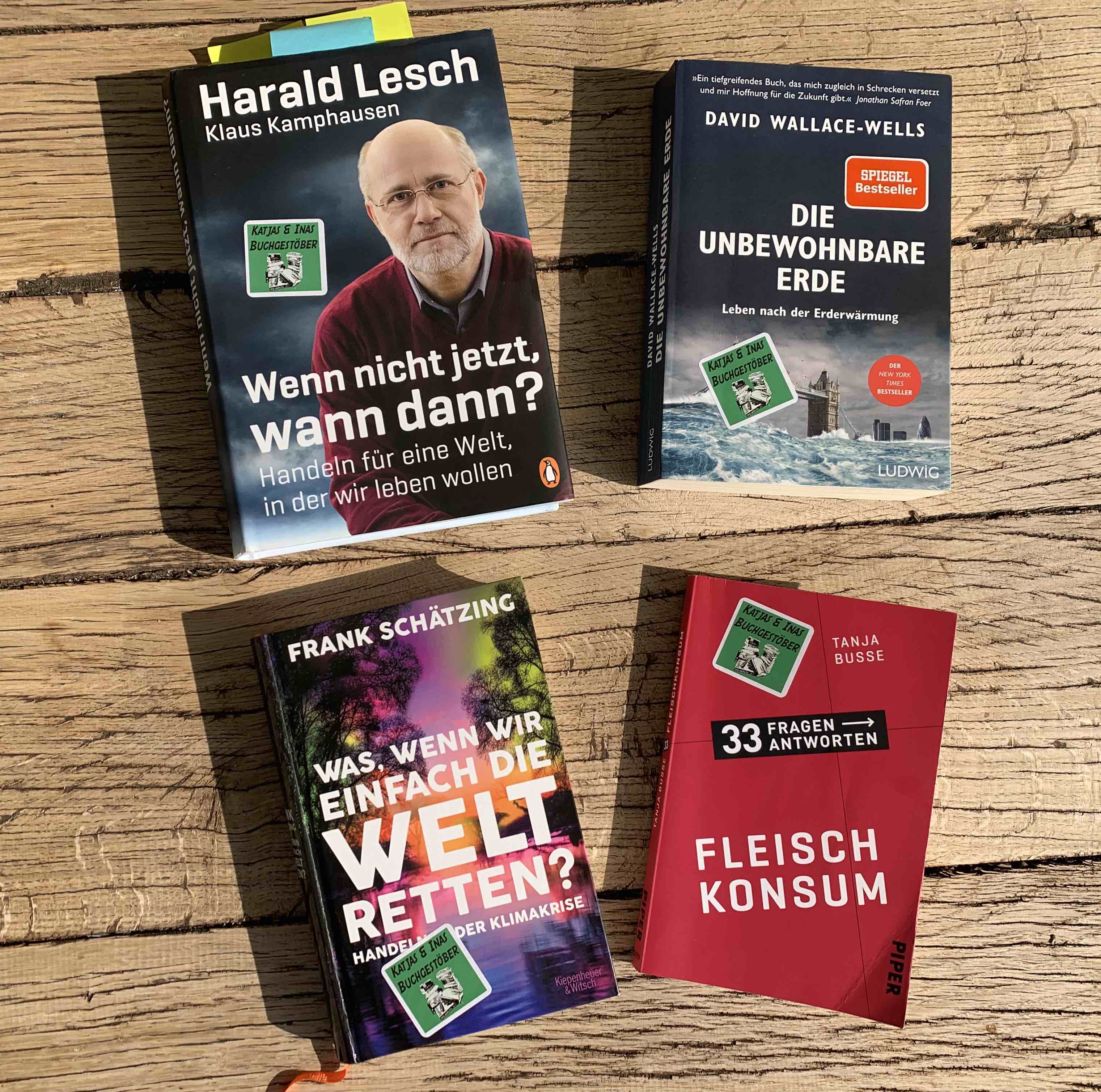 Katjas und Inas Buchgestöber