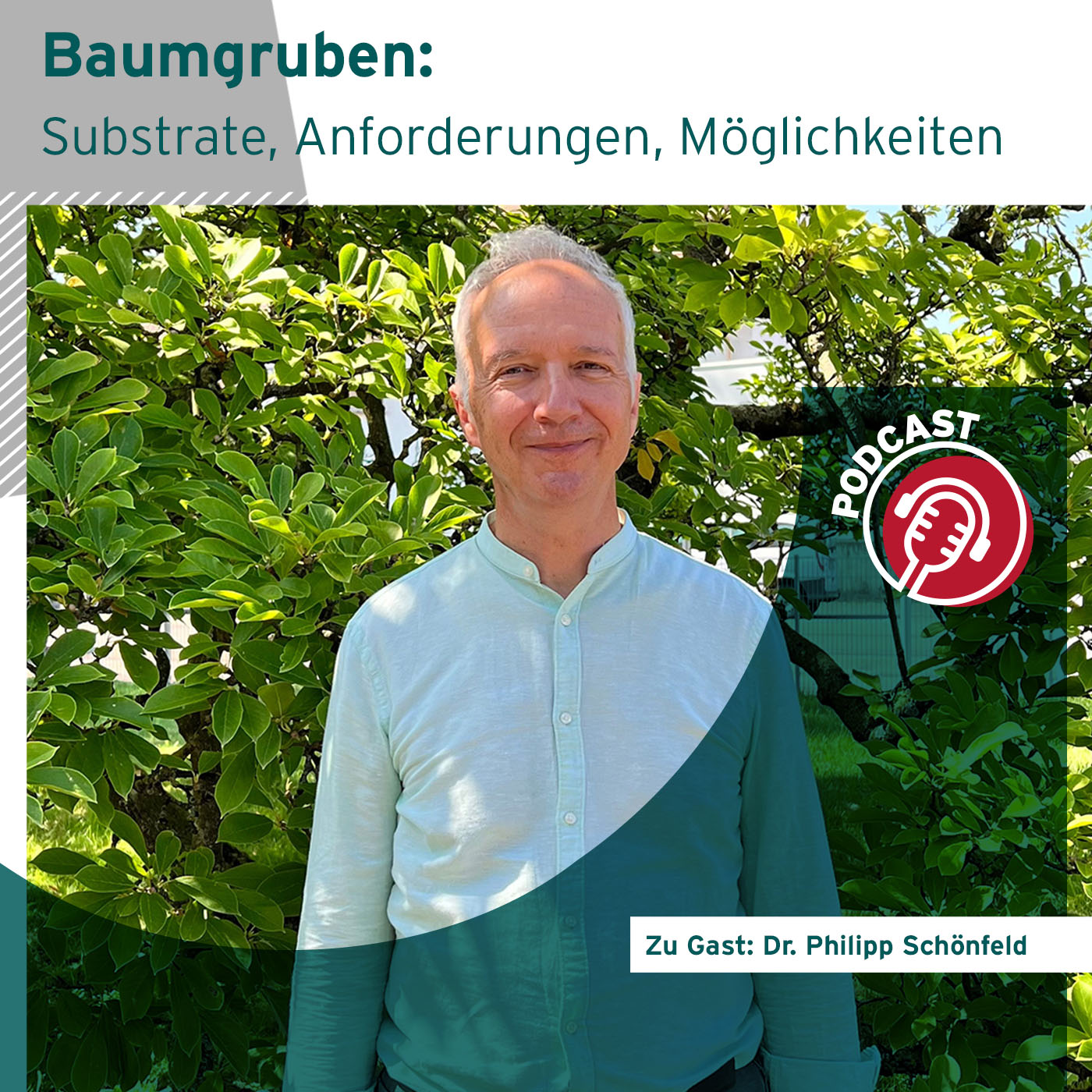 Regenwassermanagement Podcast für die Baupraxis