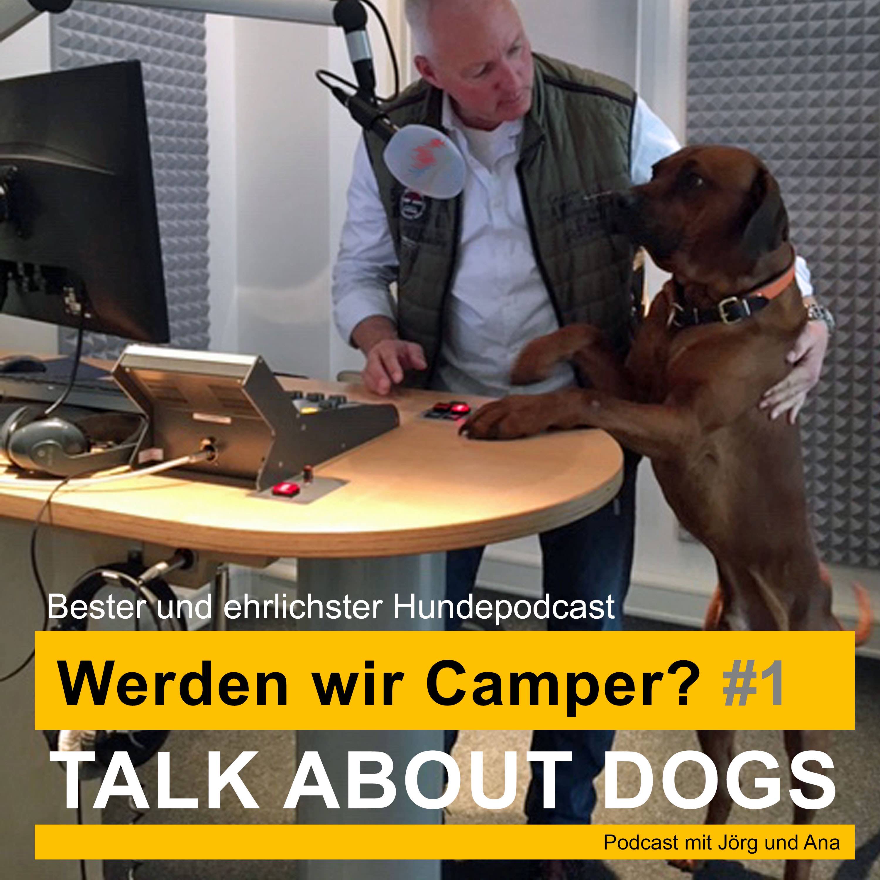 Werden wir Camper? #1