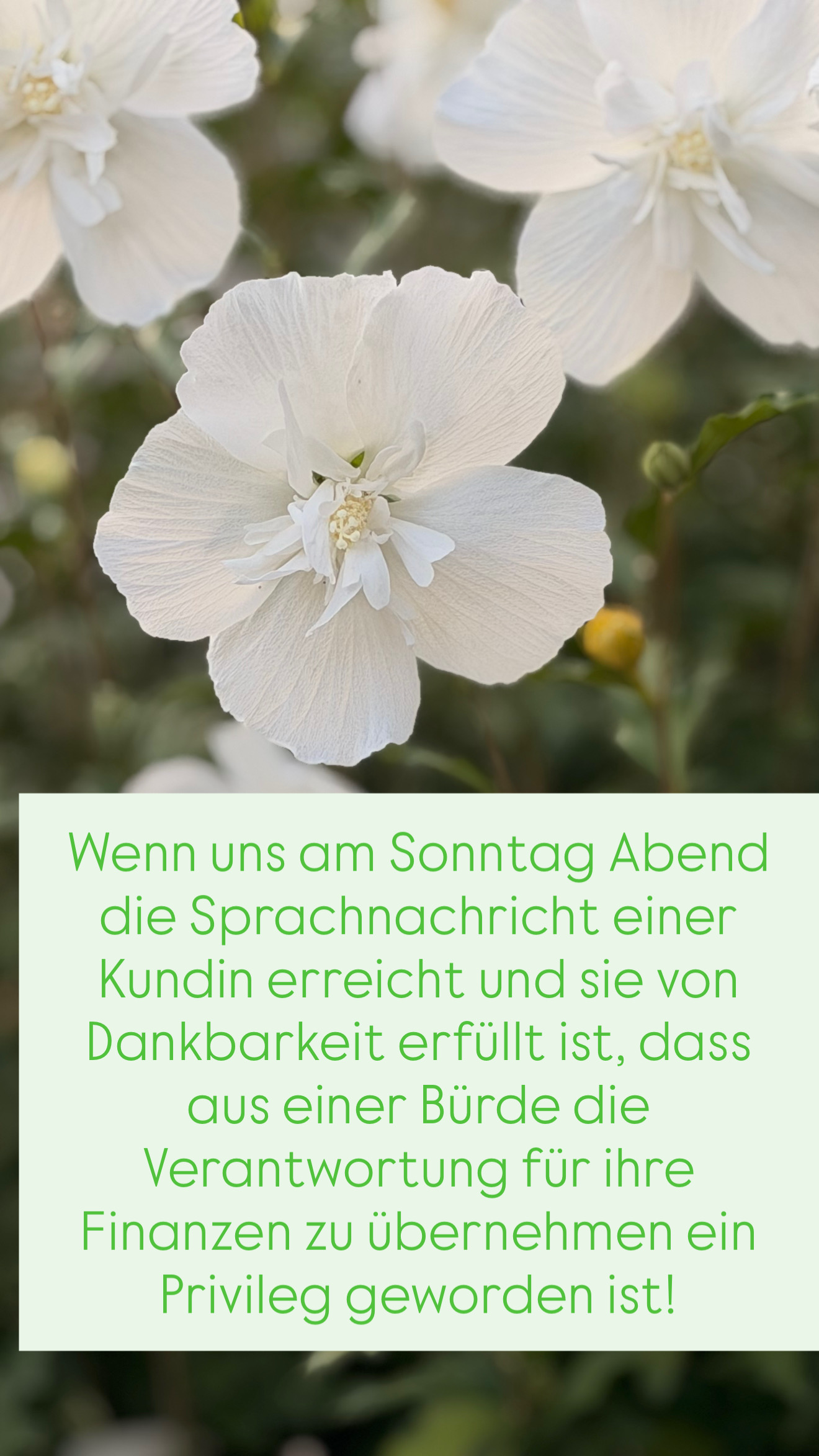 #679 Von der Bürde zum Privileg🌸