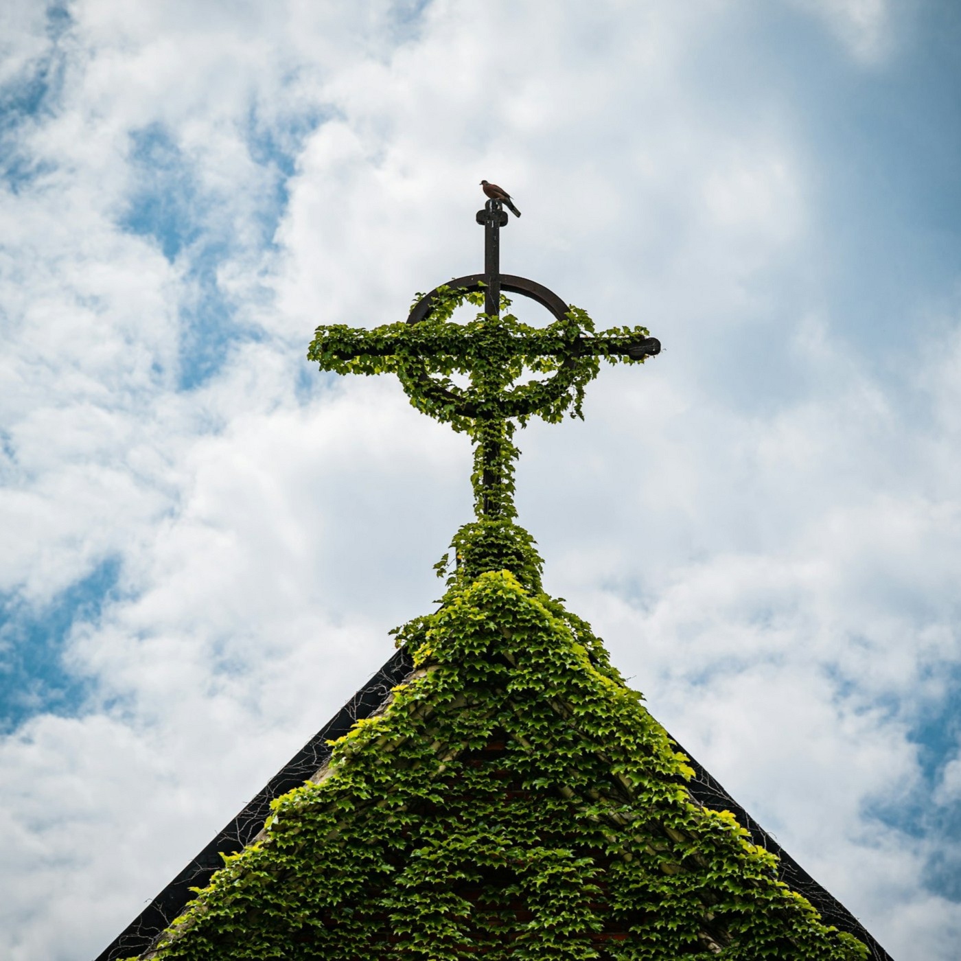 Du schöner Lebensbaum (EG 96)