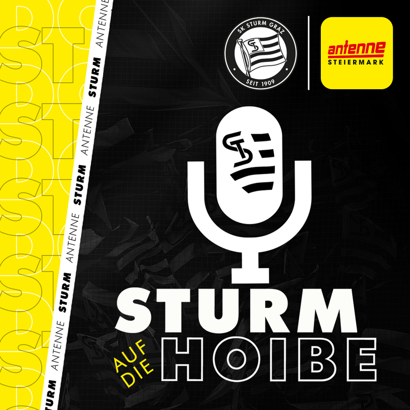 Sturm auf die Hoibe #11: Das unendliche Wissen