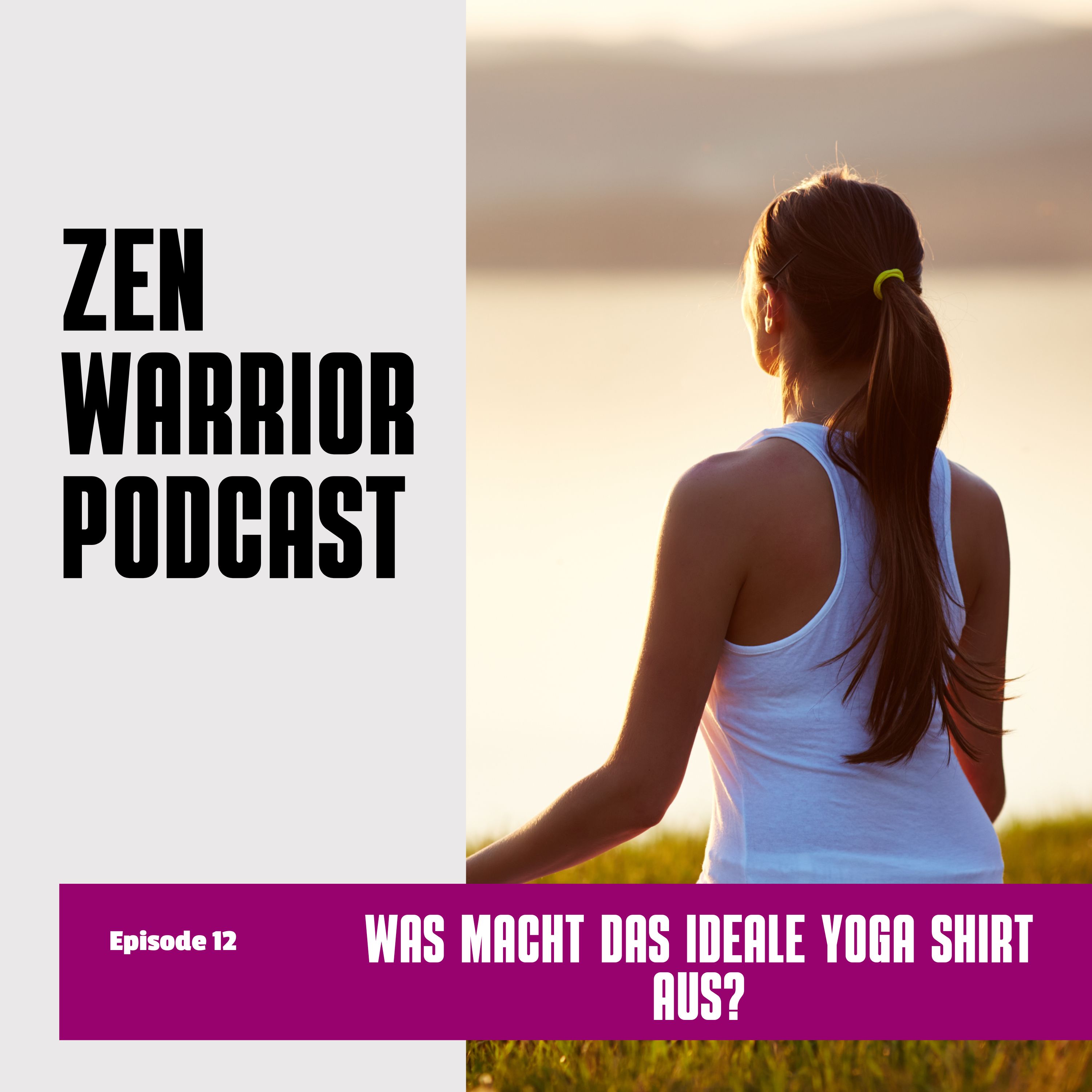 The Zen Warrior Podcast