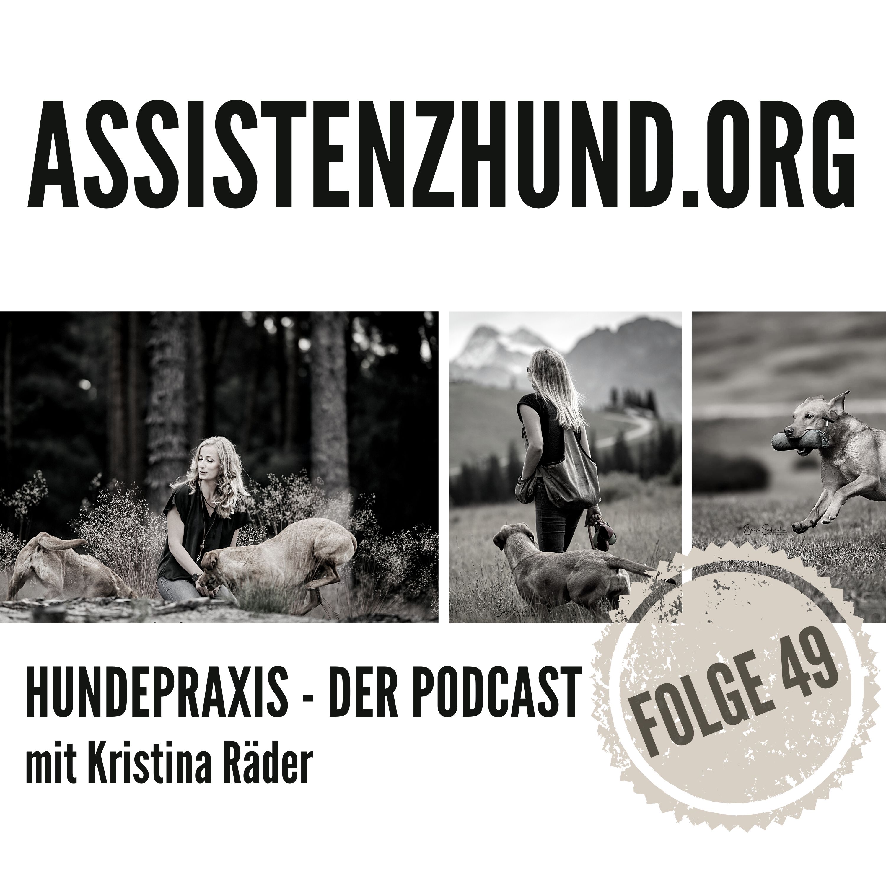 Hundepraxis - der Podcast
