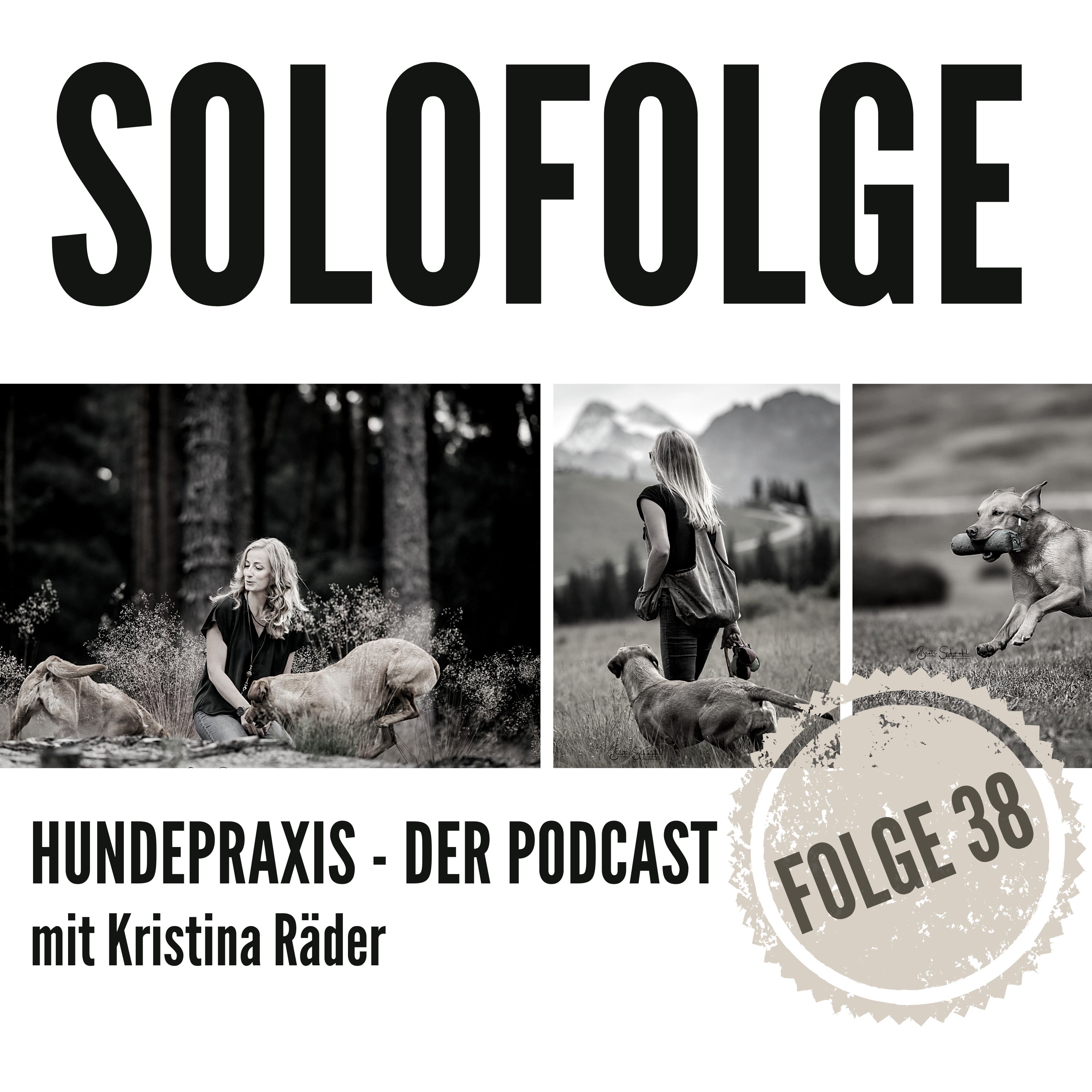 Hundepraxis - der Podcast