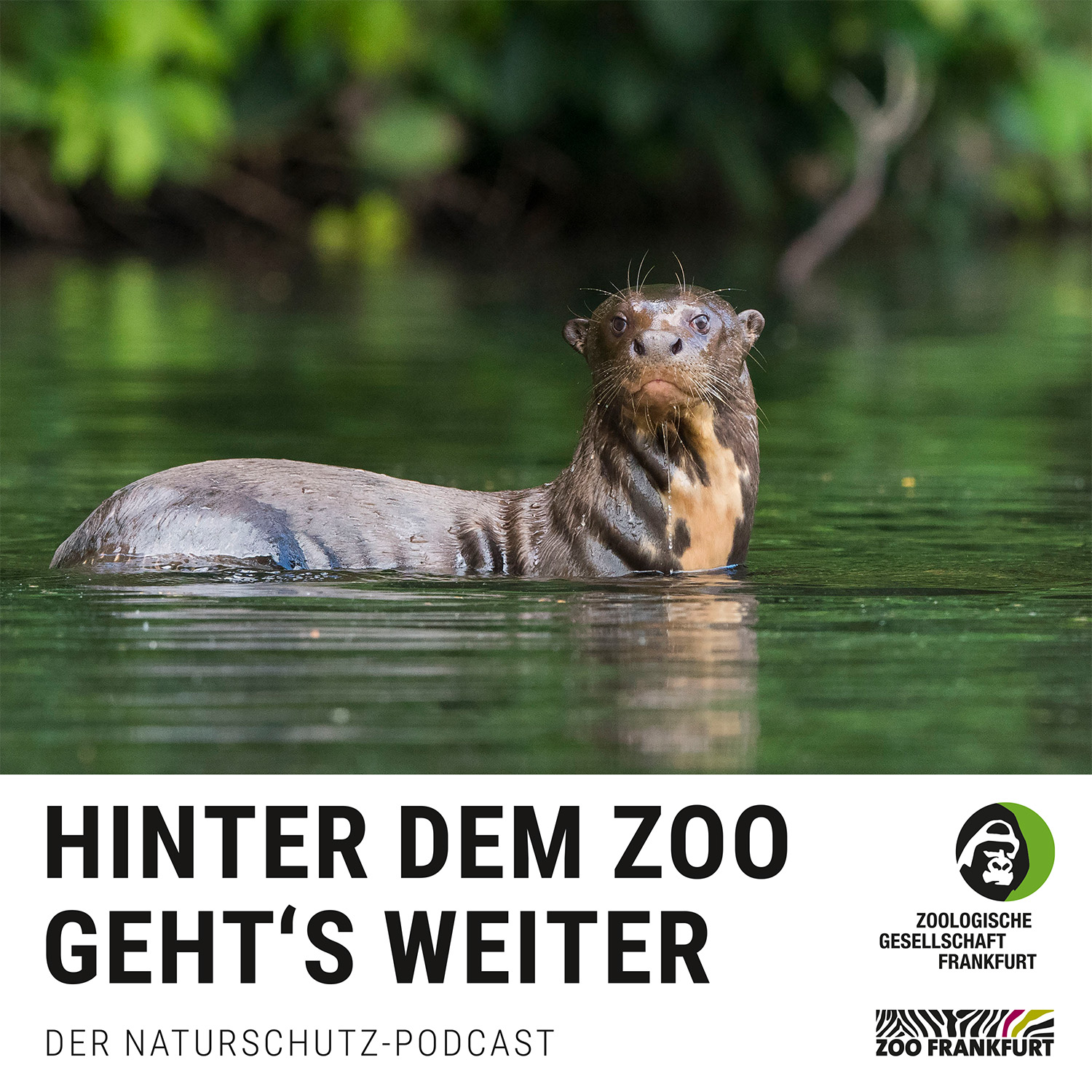 Hinter dem Zoo geht\'s weiter - Der Naturschutzpodcast aus Frankfurt