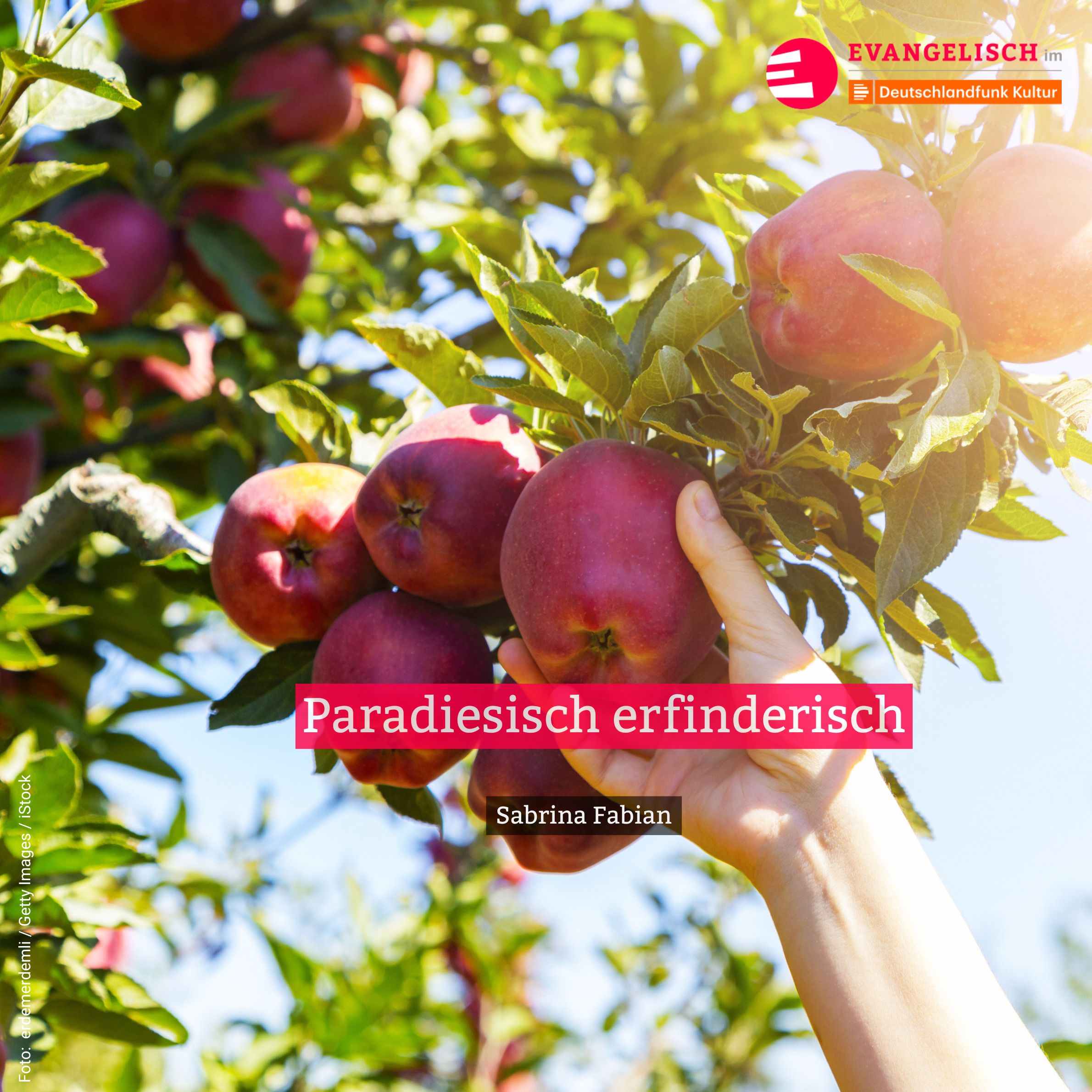 Paradiesisch erfinderisch. Evangelische Kirche episode artwork
