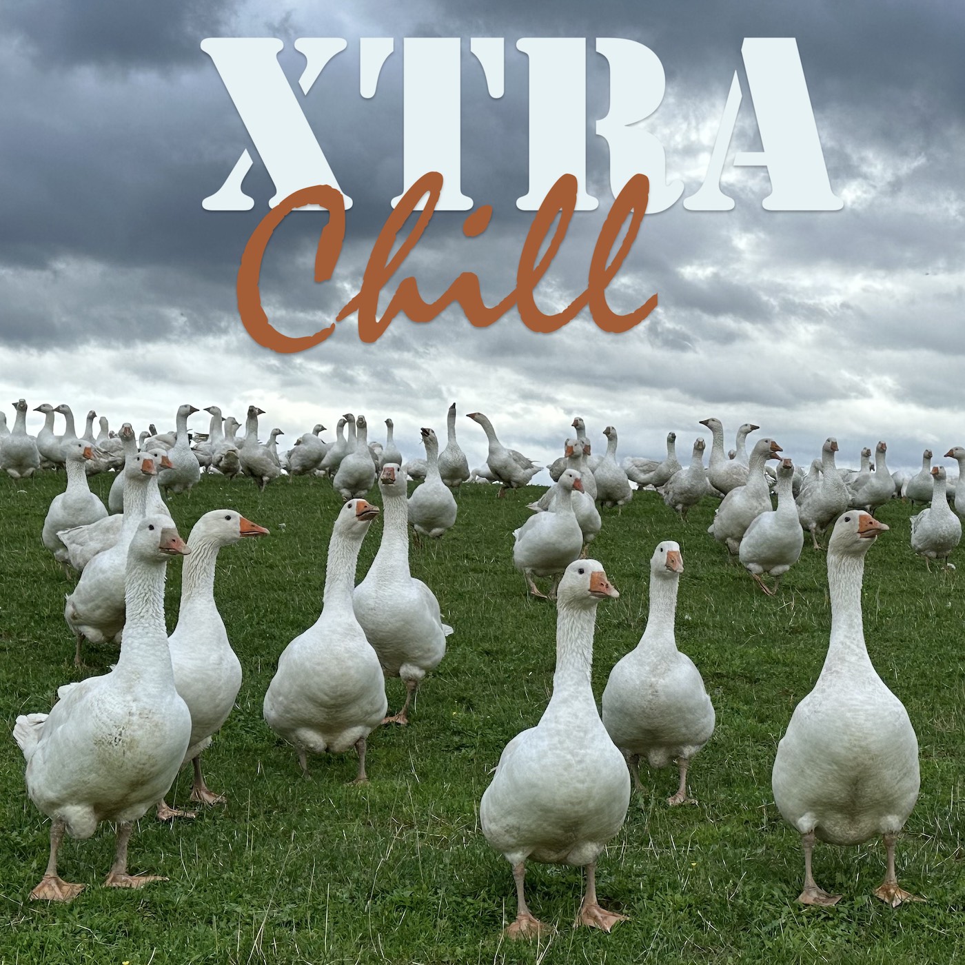 XtraChill