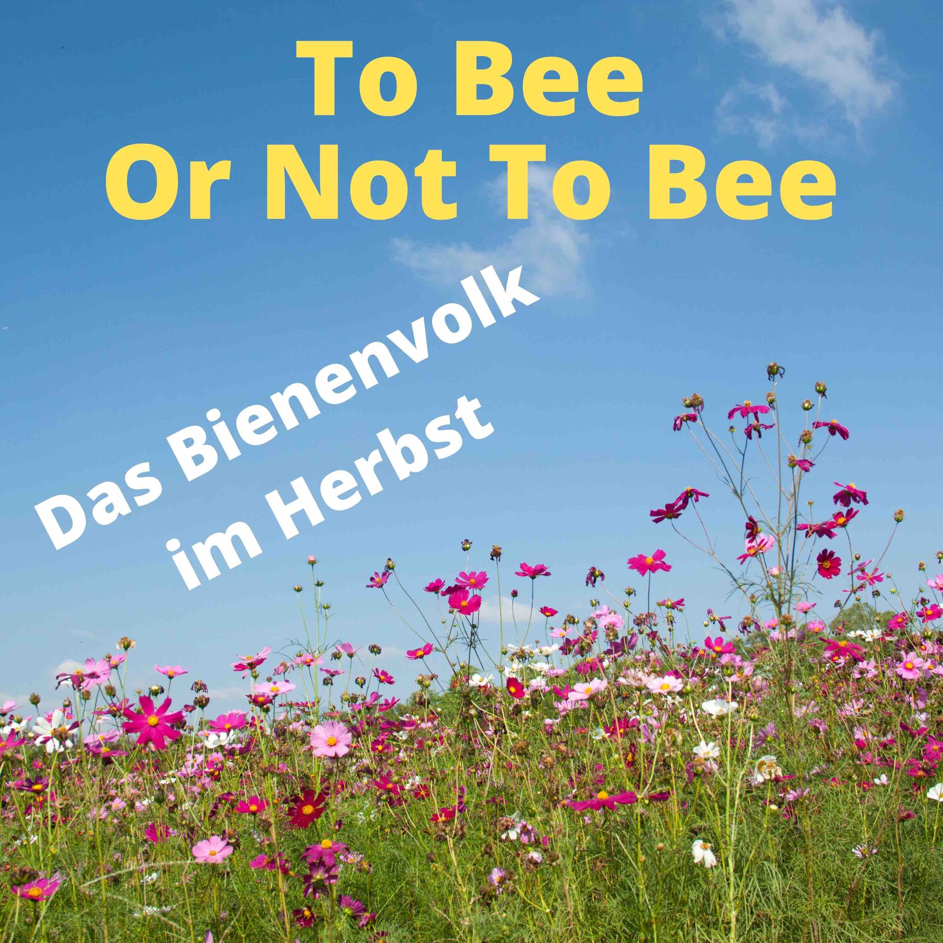 To Bee Or Not To Bee #15