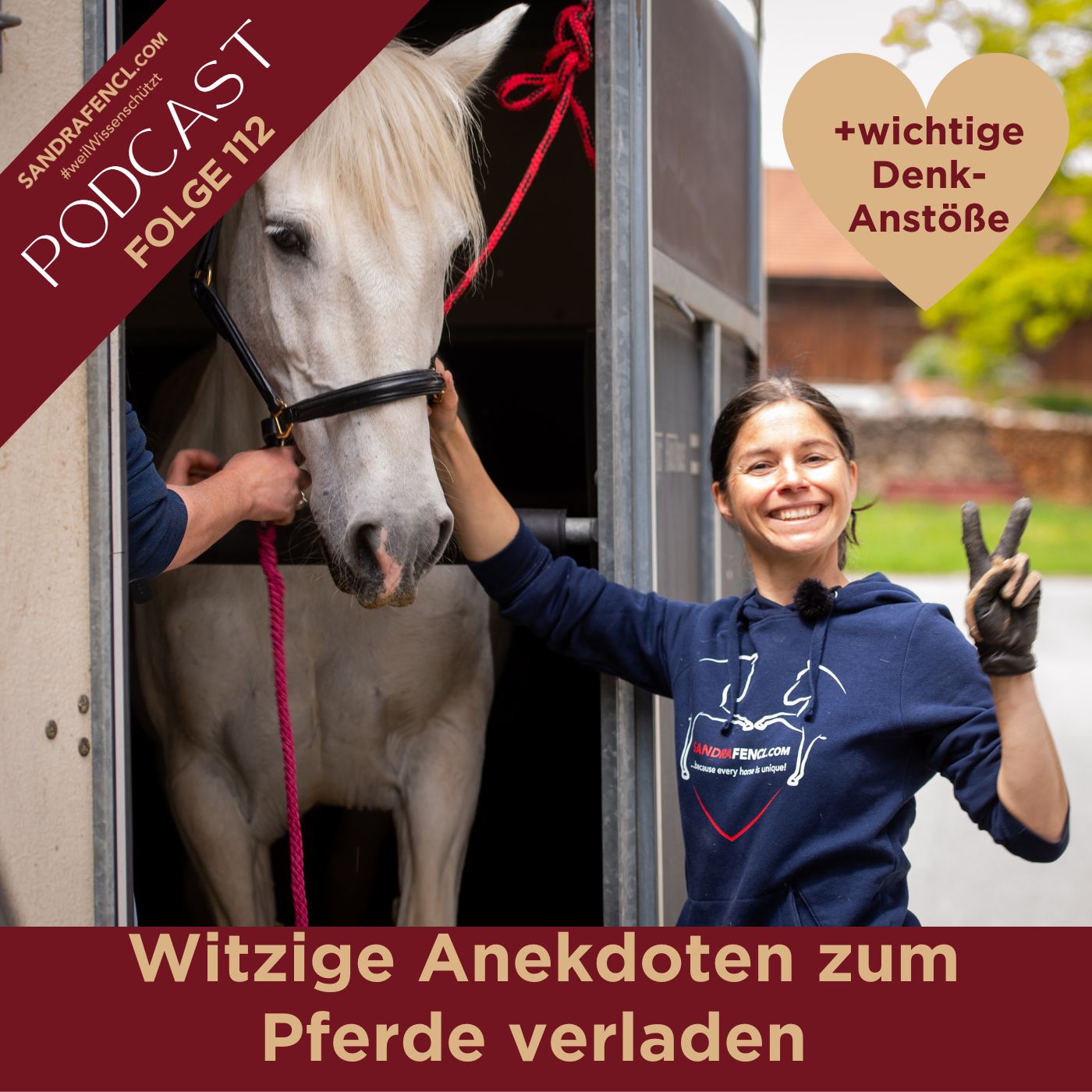 🐴 Witzige Anekdoten zum Thema Verladen