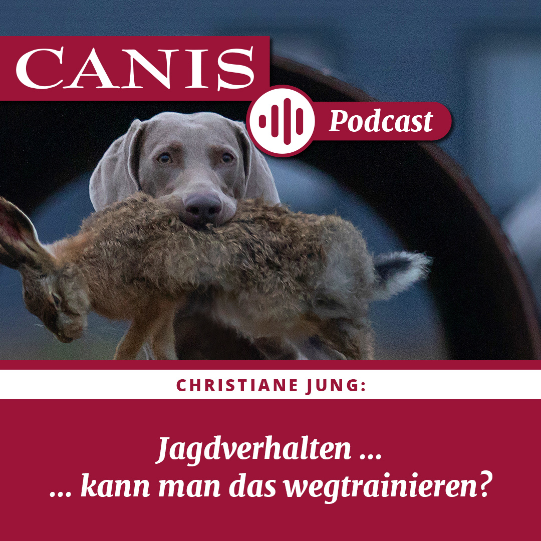 Der CANIS-Podcast – Hundeexpert:innen ausgefragt