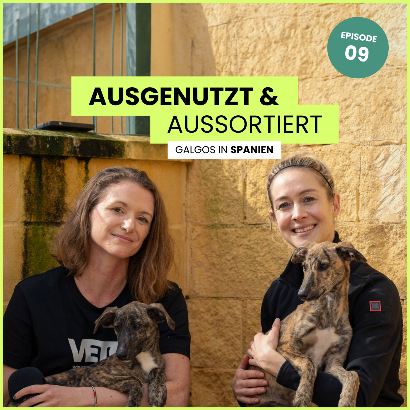 VETO - Der Tierschutz-Podcast