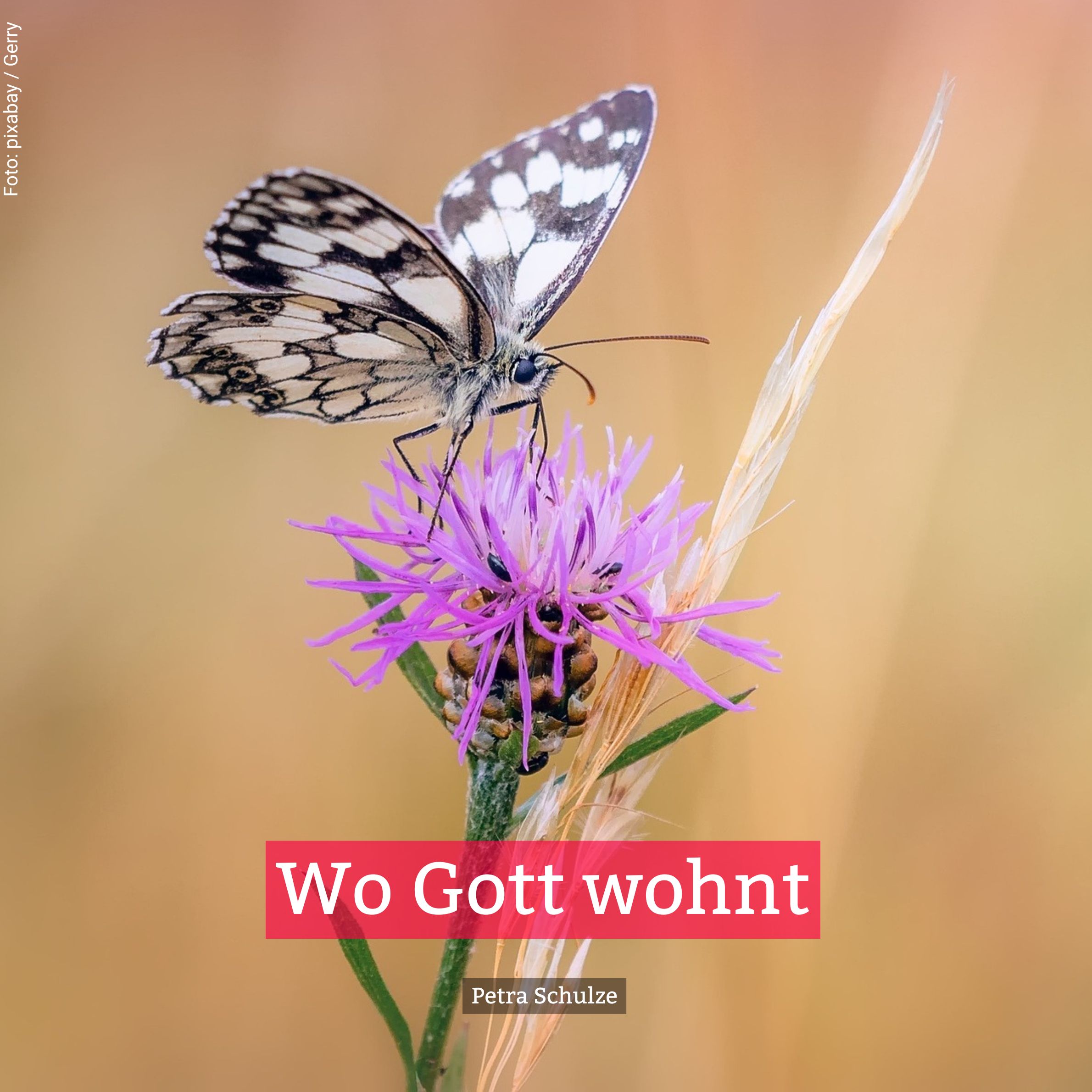 Wo Gott wohnt
