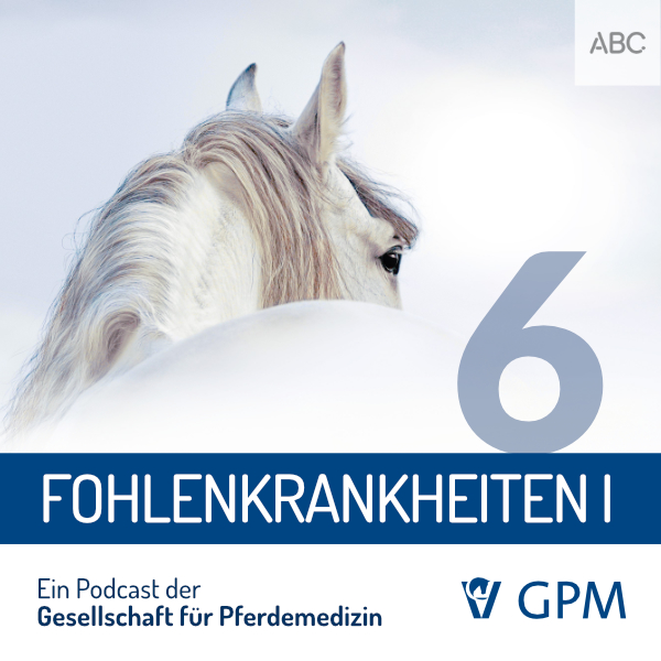 Pferdemedizin heute