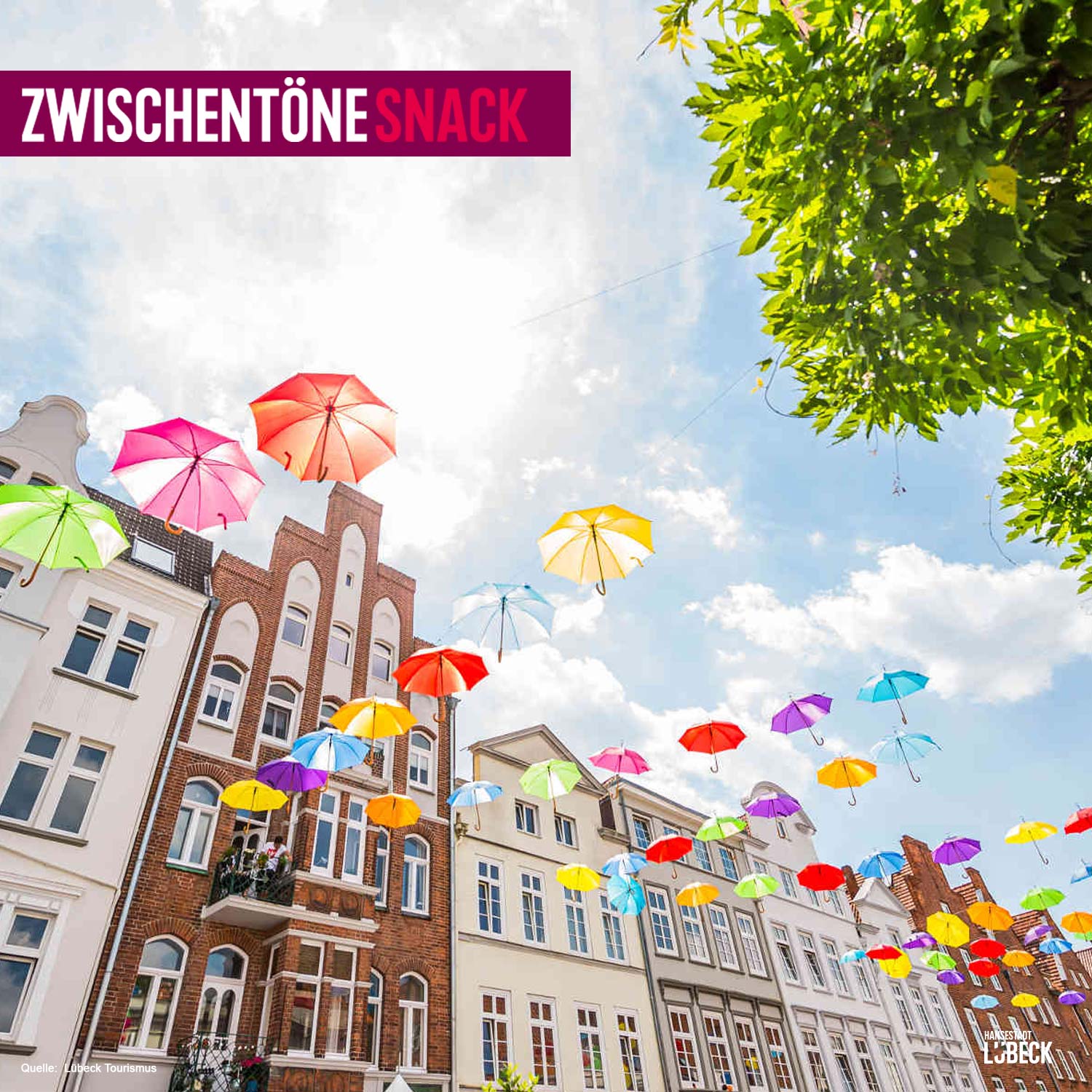 Königinnen und Schmetterlinge im Bauch - Das Hansekulturfestival episode artwork