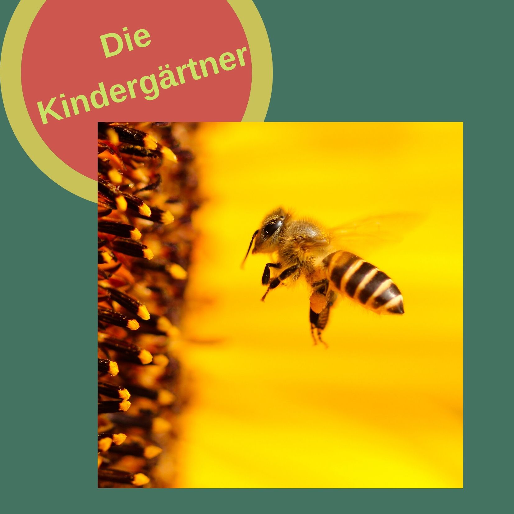 Ein Hoch auf die Bienen, die Papas und Pippi