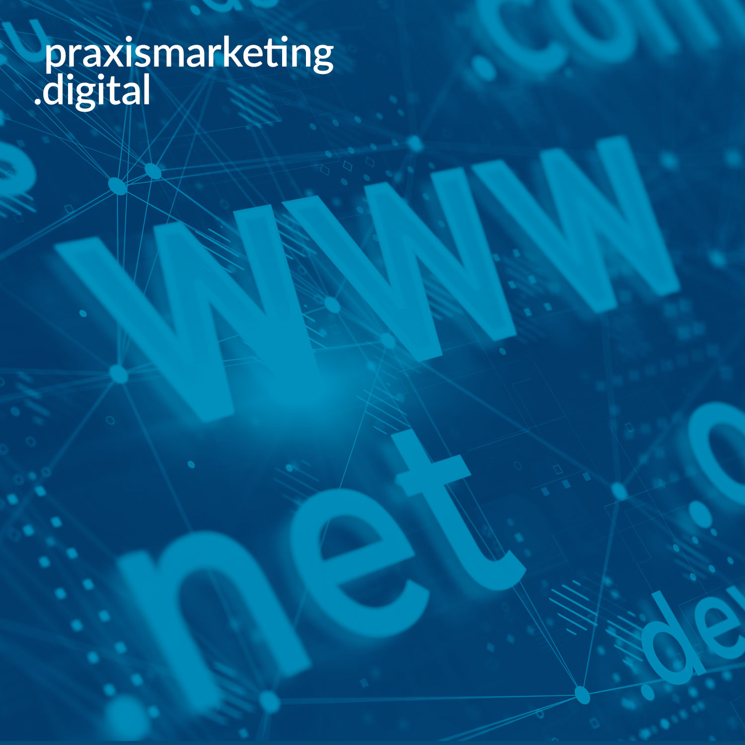 praxismarketing.digital