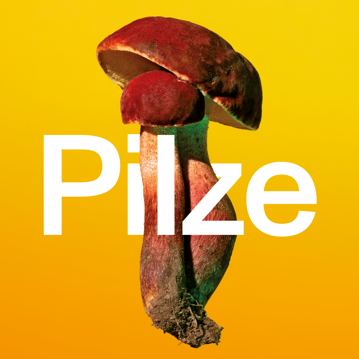 Art‘n‘Vielfalt. Der Podcast für Kunst und Natur des Museums Sinclair-Haus