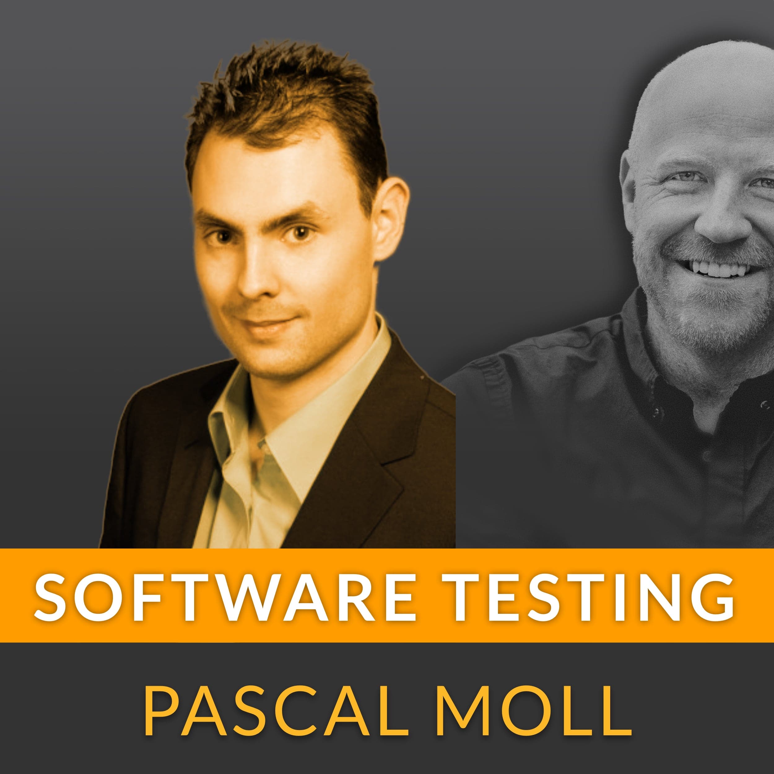 Software Testing - Qualität, Testautomatisierung & Agilität