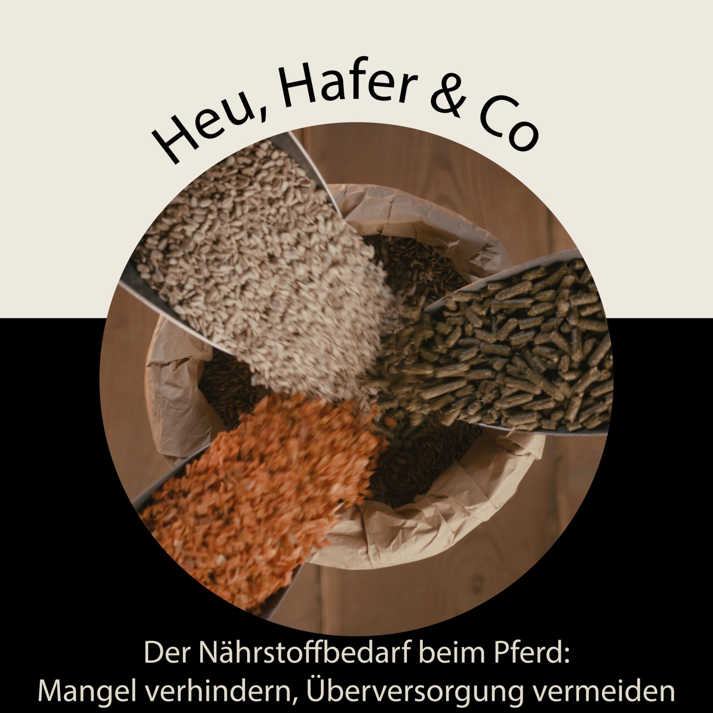 Heu, Hafer & Co: Der Pferdefutter-Podcast