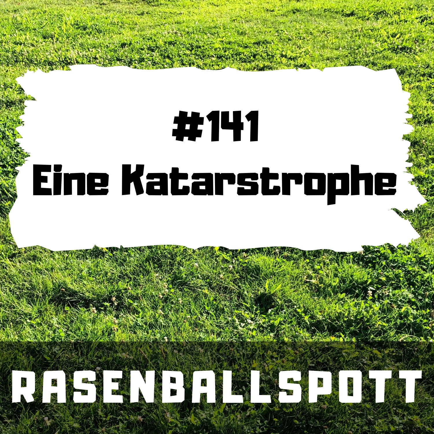RASENBALLSPOTT