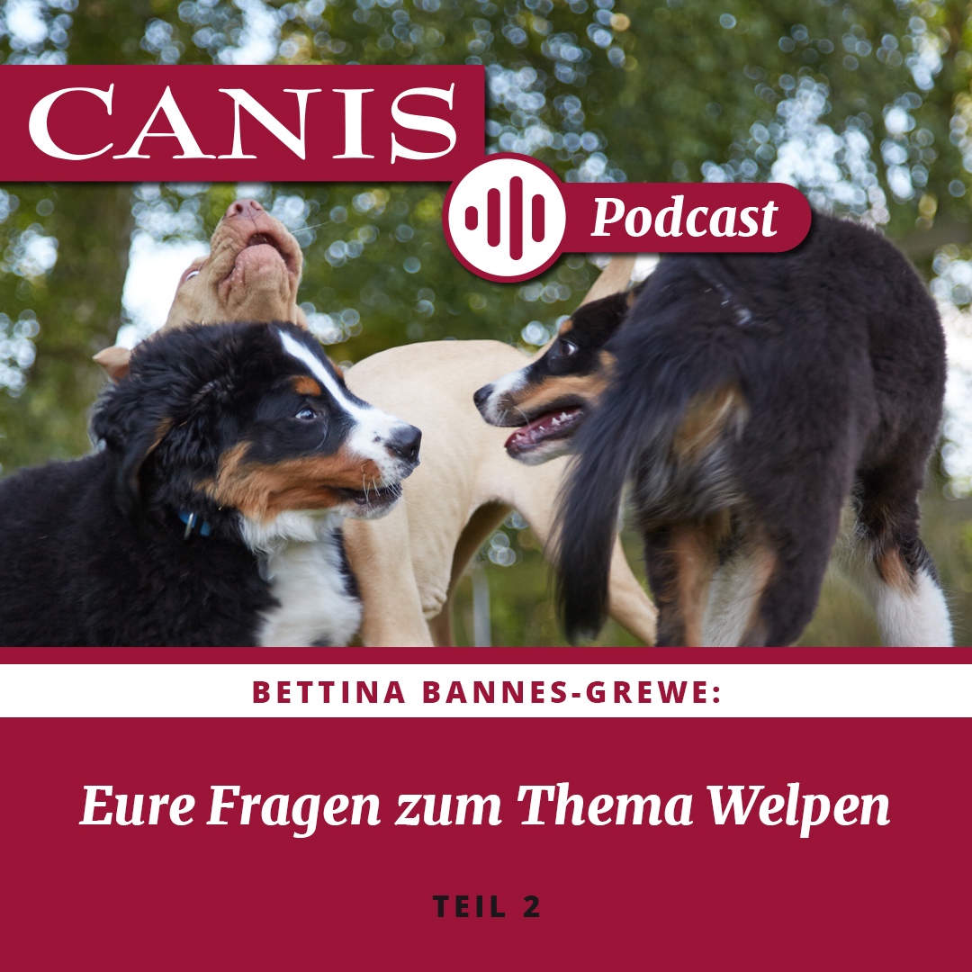 Der CANIS-Podcast – Hundeexpert:innen ausgefragt