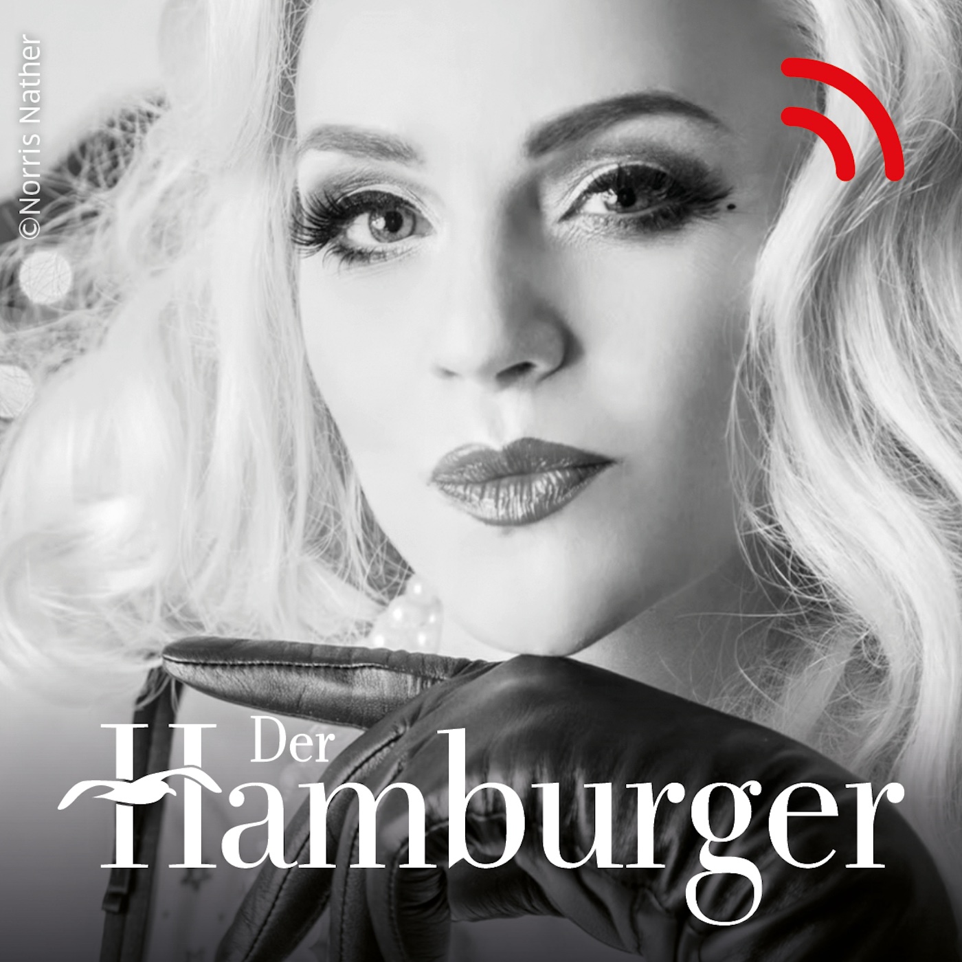 DER HAMBURGER Inside. Stimmen dieser Stadt