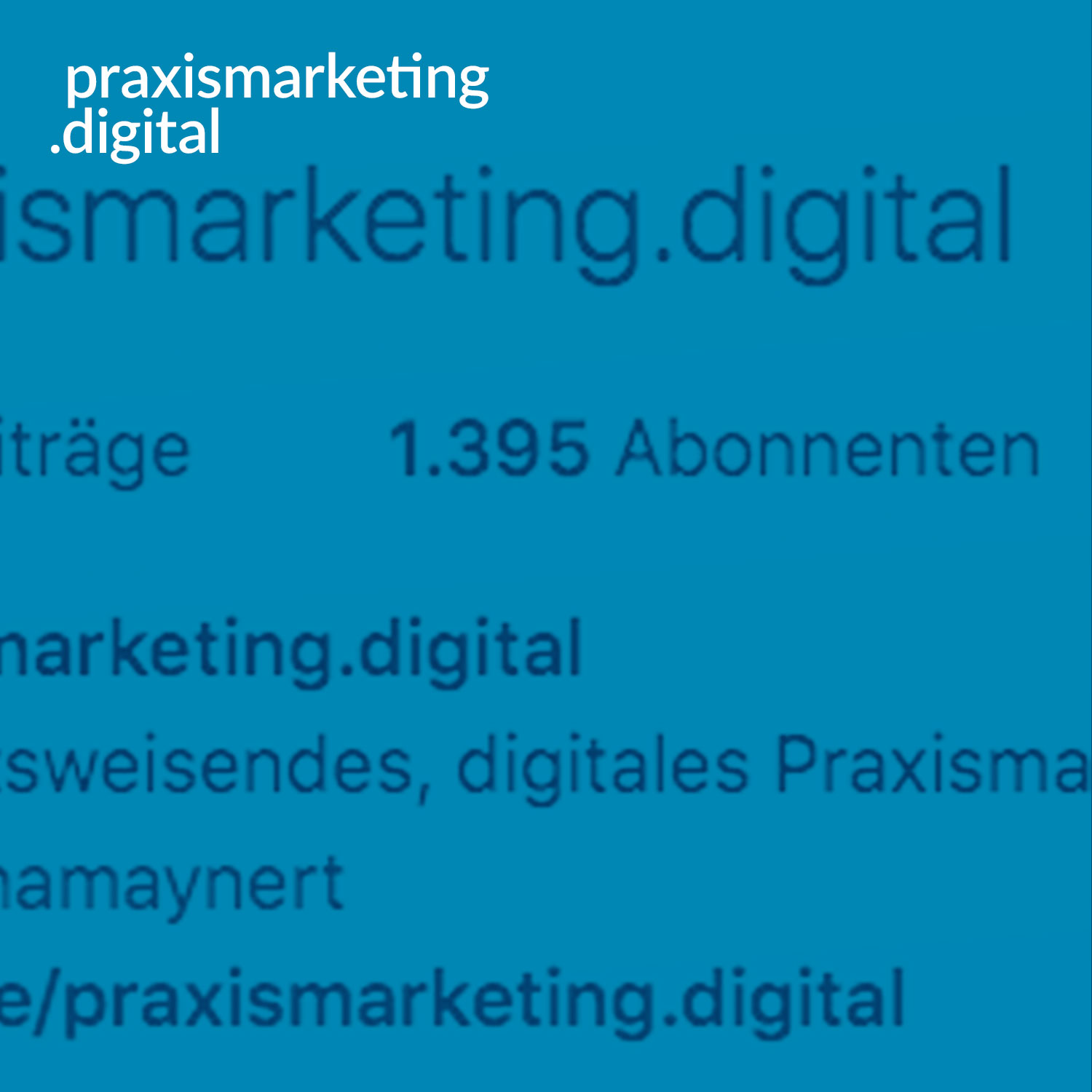 praxismarketing.digital