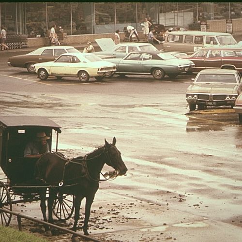 Die Amish, ihre Geschichte und Religion