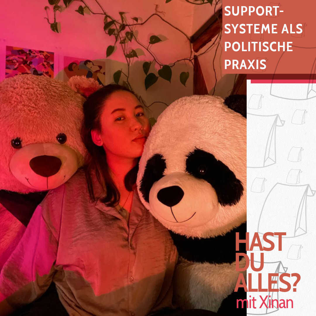 Support-Systeme als Politische Praxis