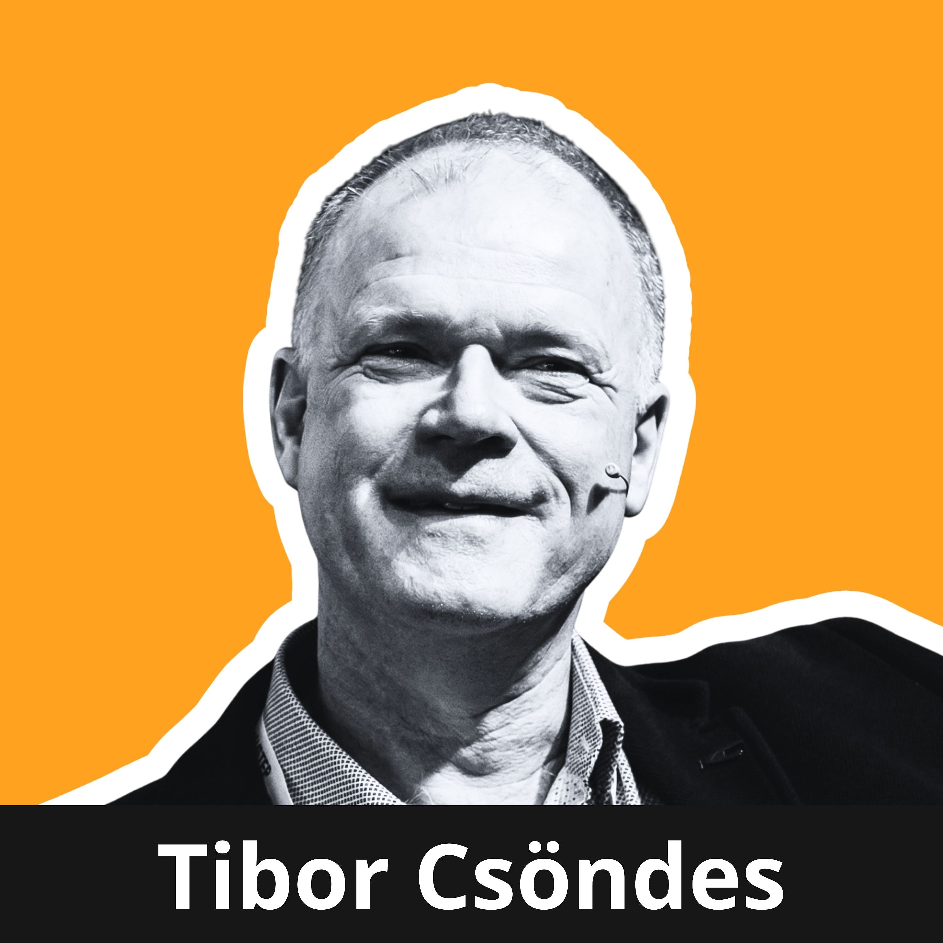 Old Testing vs. New Testing - Tibor Csöndes episode artwork