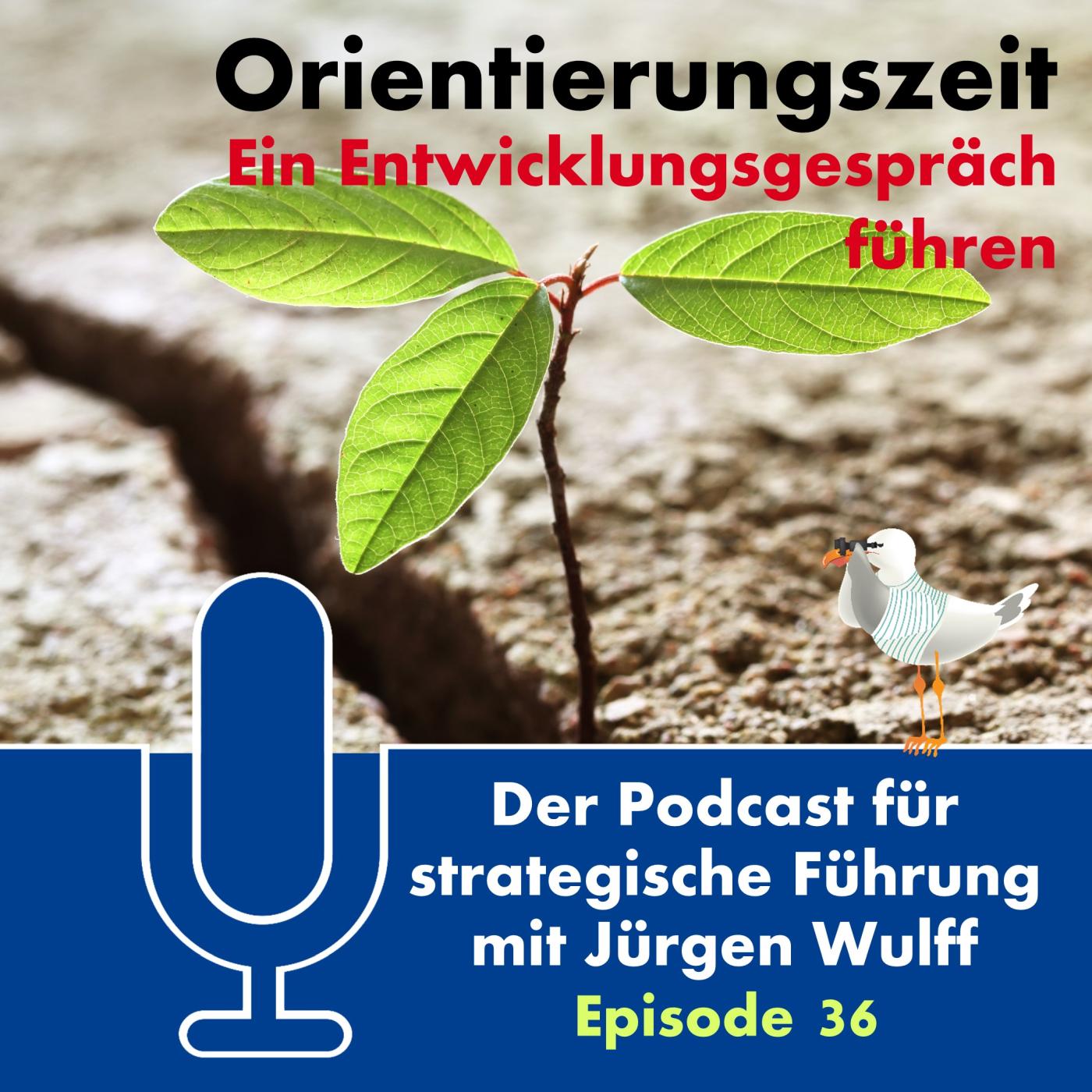 Orientierungszeit