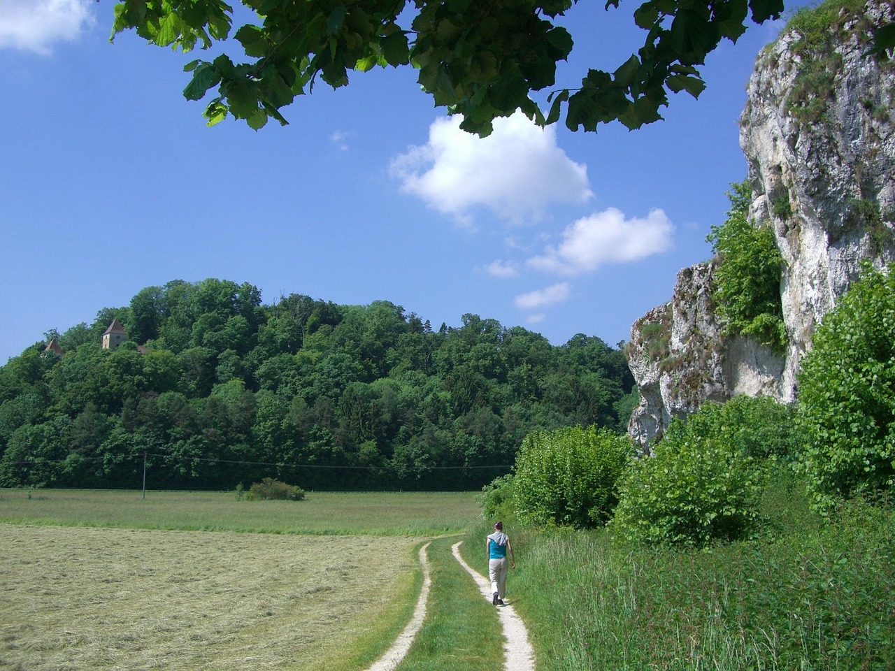 Schritt für Schritt episode artwork