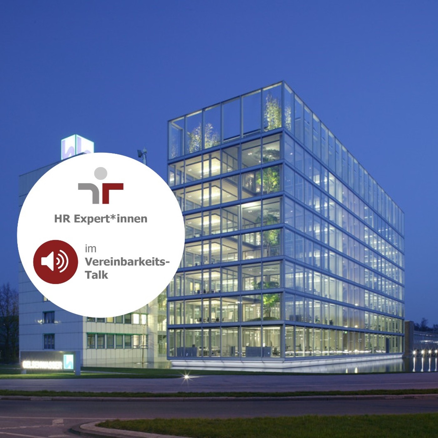 HR-Expert*innen im Vereinbarkeits-Talk