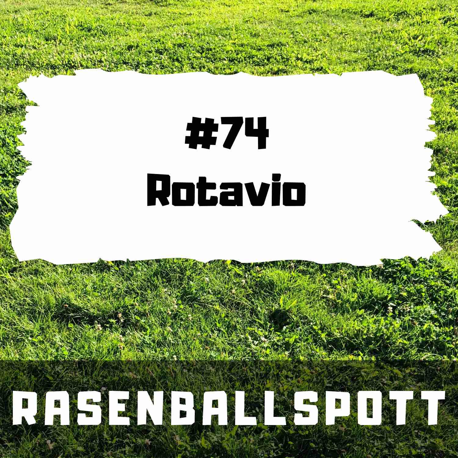 RASENBALLSPOTT