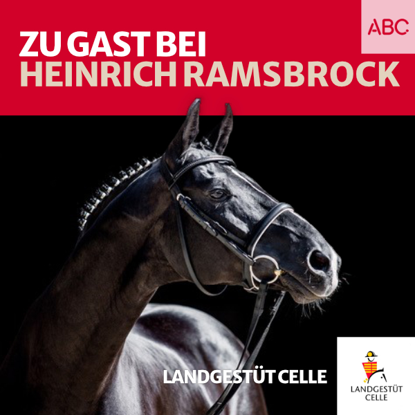 Landgestüt Celle - Der Podcast