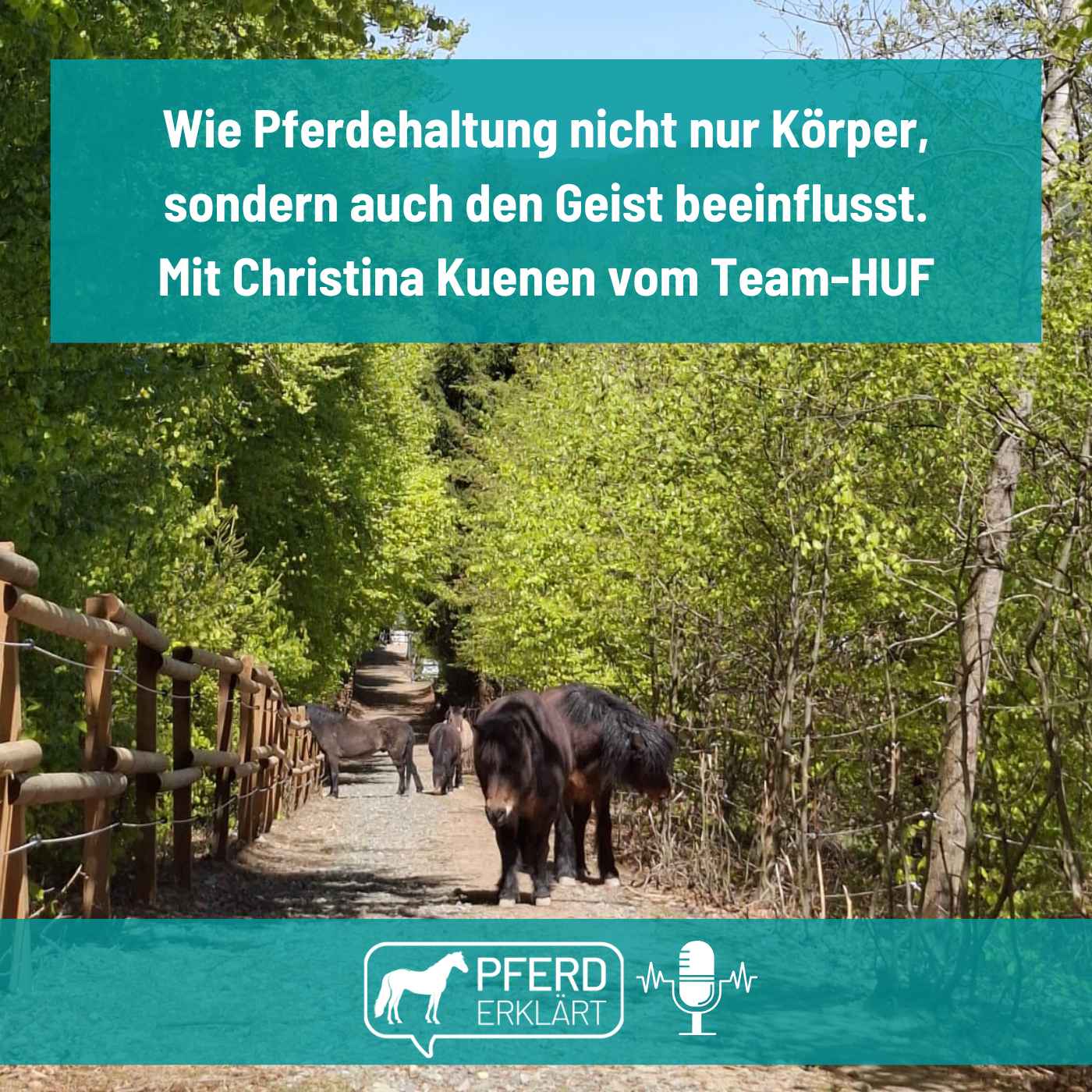 Wie du deinem Pferd von Zauberhand mehr Sicherheit in Geist und Körper gibst episode artwork