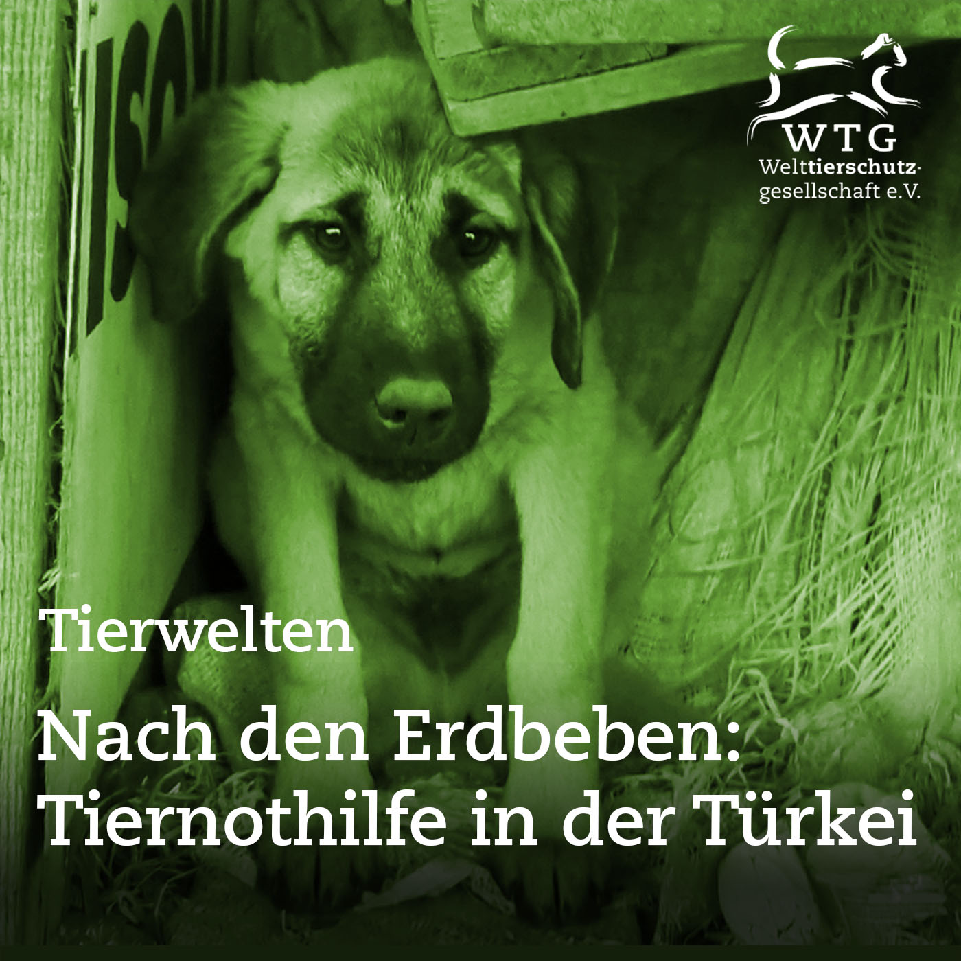 Tierwelten