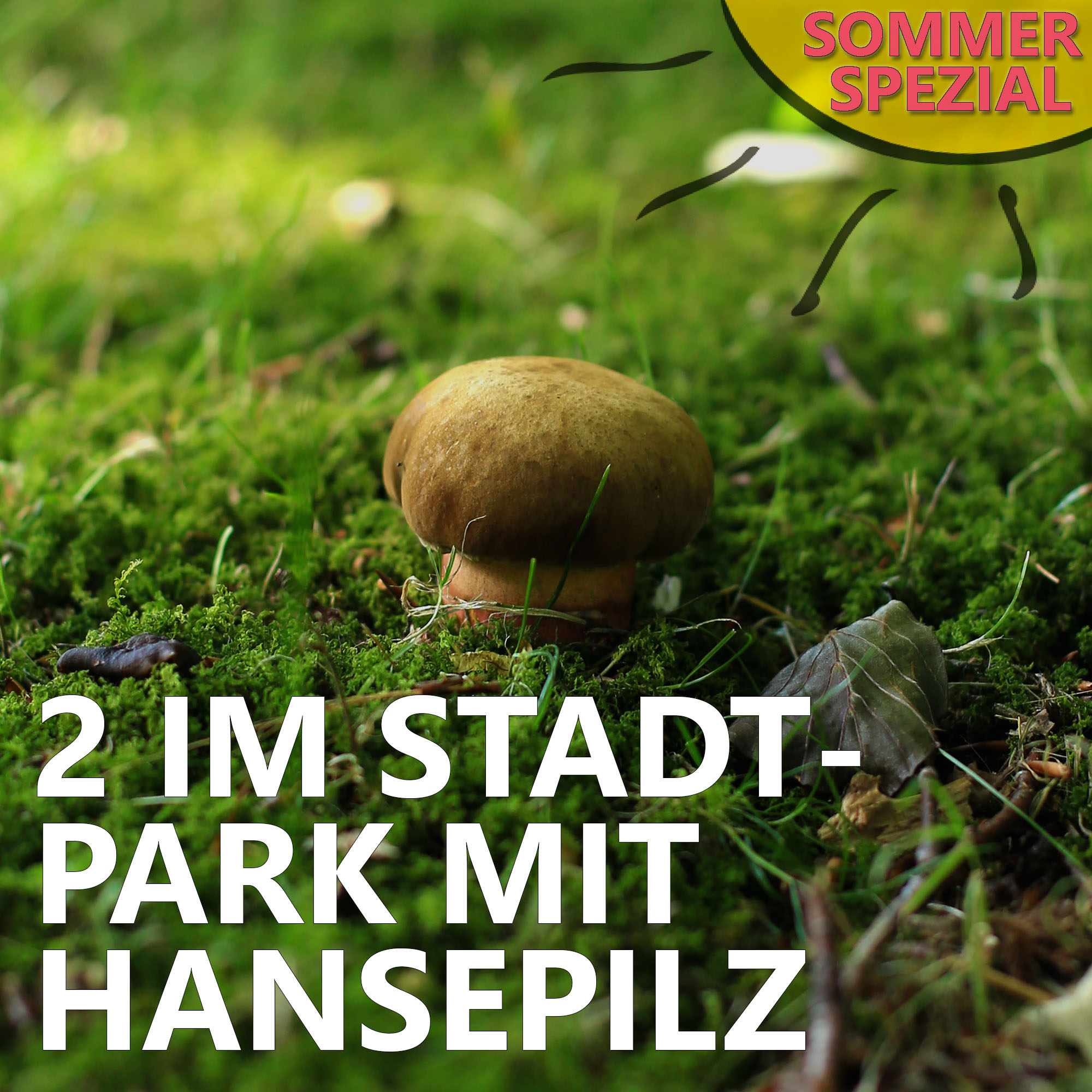 Der Pilzpodcast