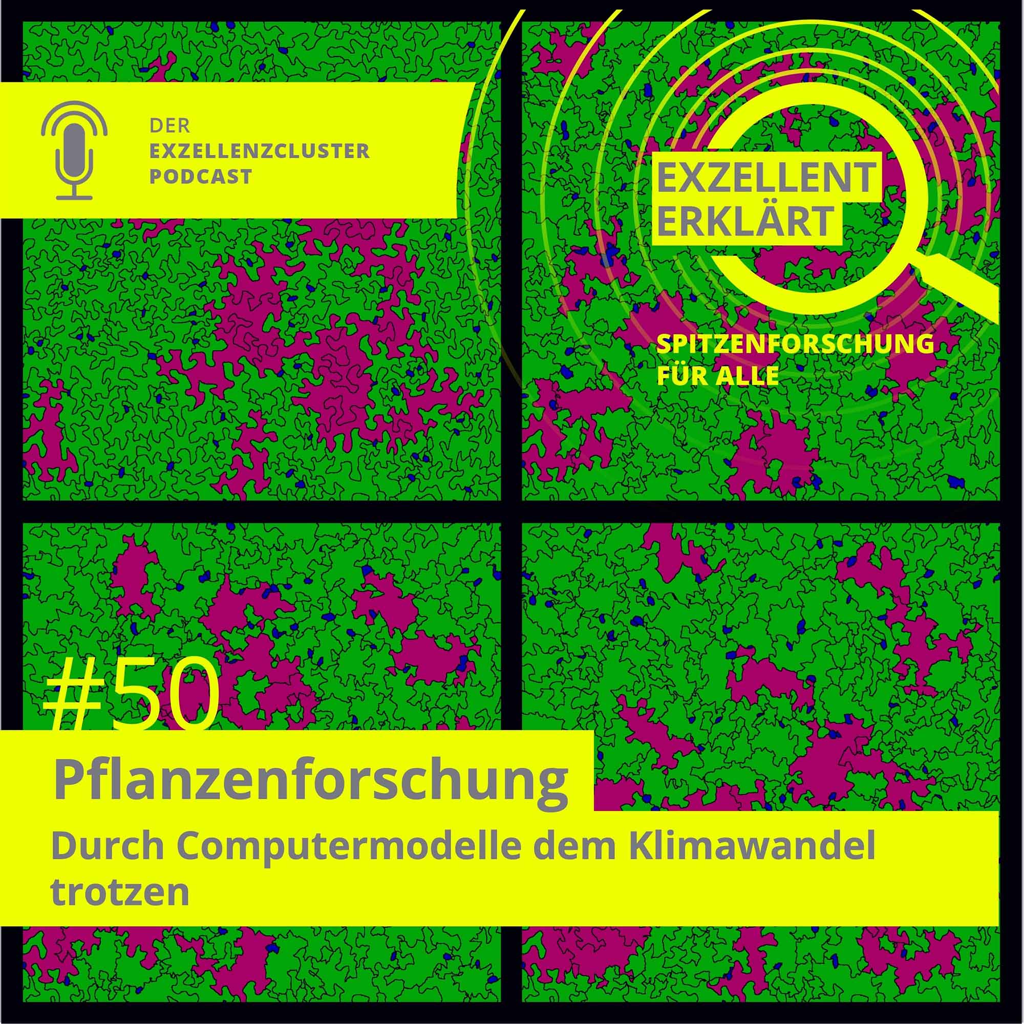 Exzellent erklärt - Spitzenforschung für alle