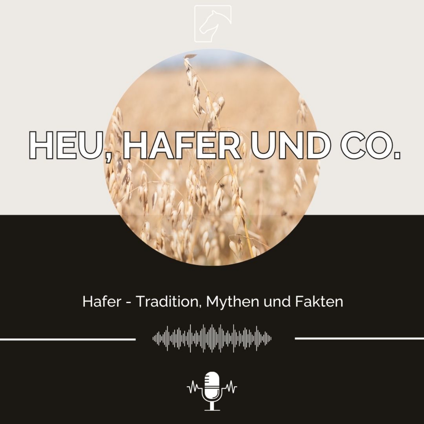 Heu, Hafer & Co: Der Pferdefutter-Podcast