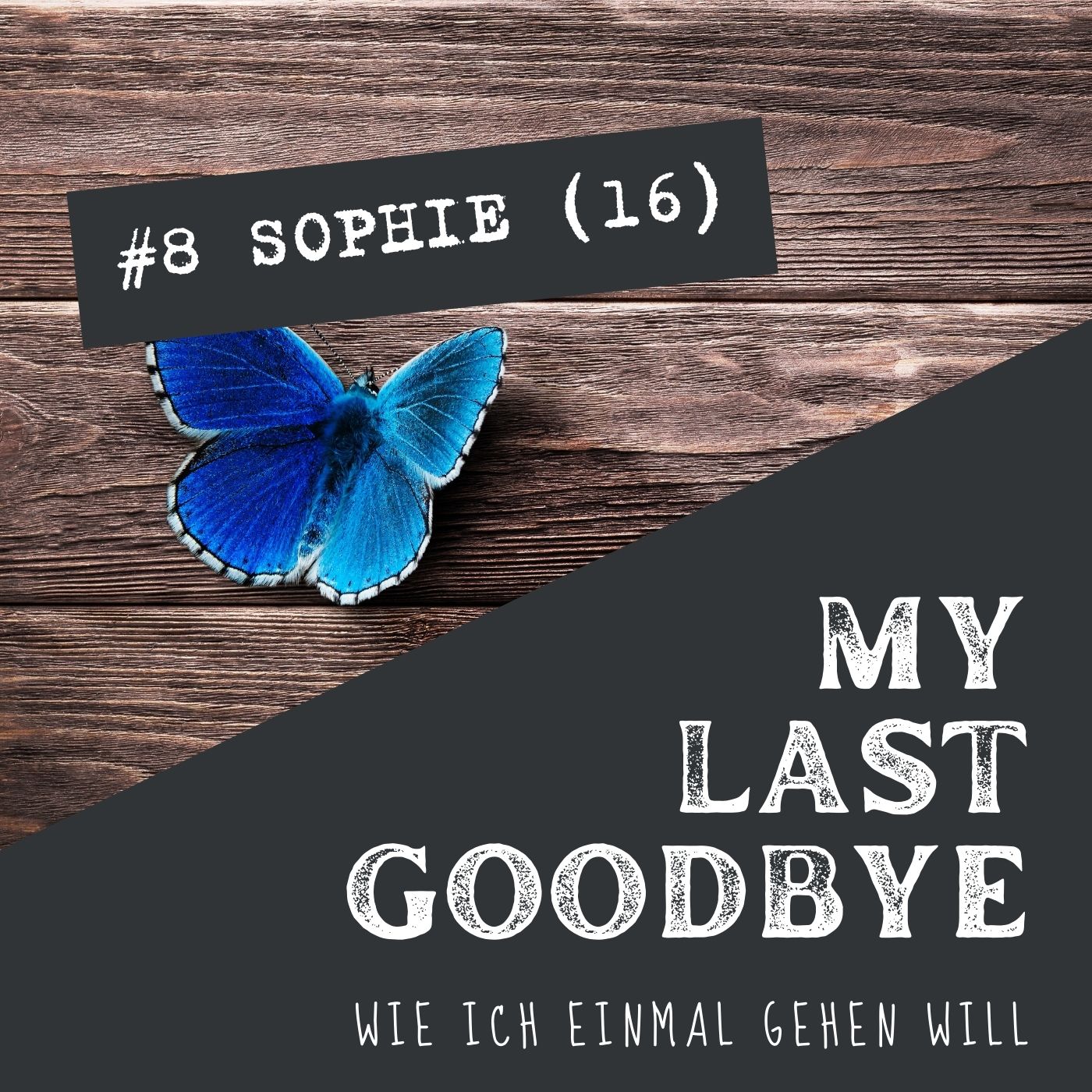 MY LAST GOODBYE