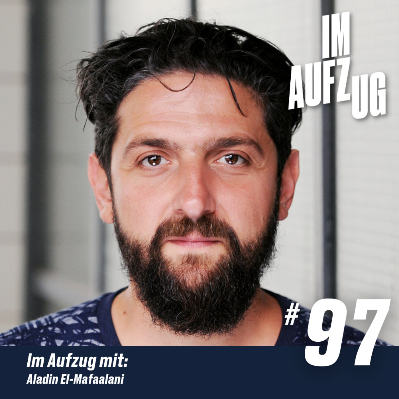 Im Aufzug mit Aladin El-Mafaalani episode artwork