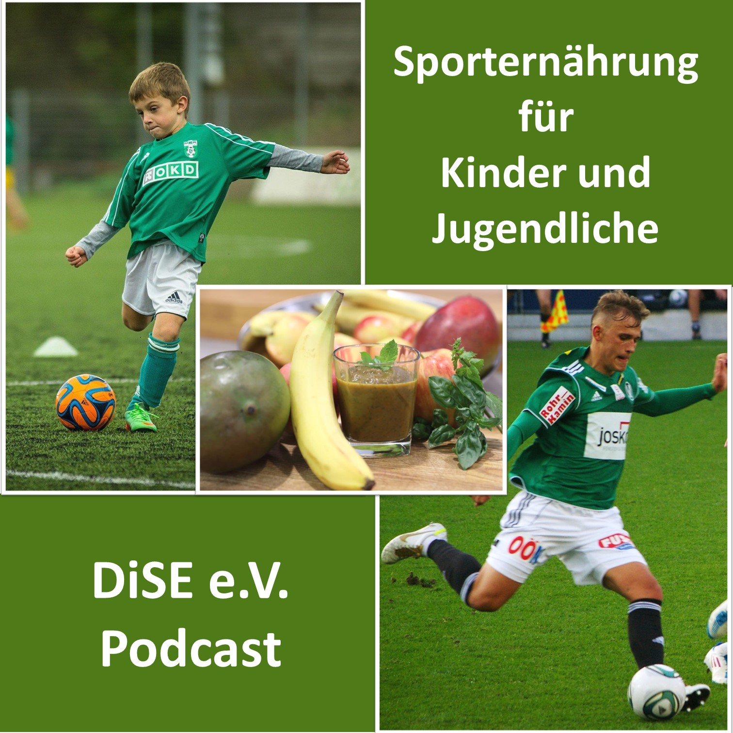 Deutsches Institut für Sporternährung e.V. (DiSE) Podcast