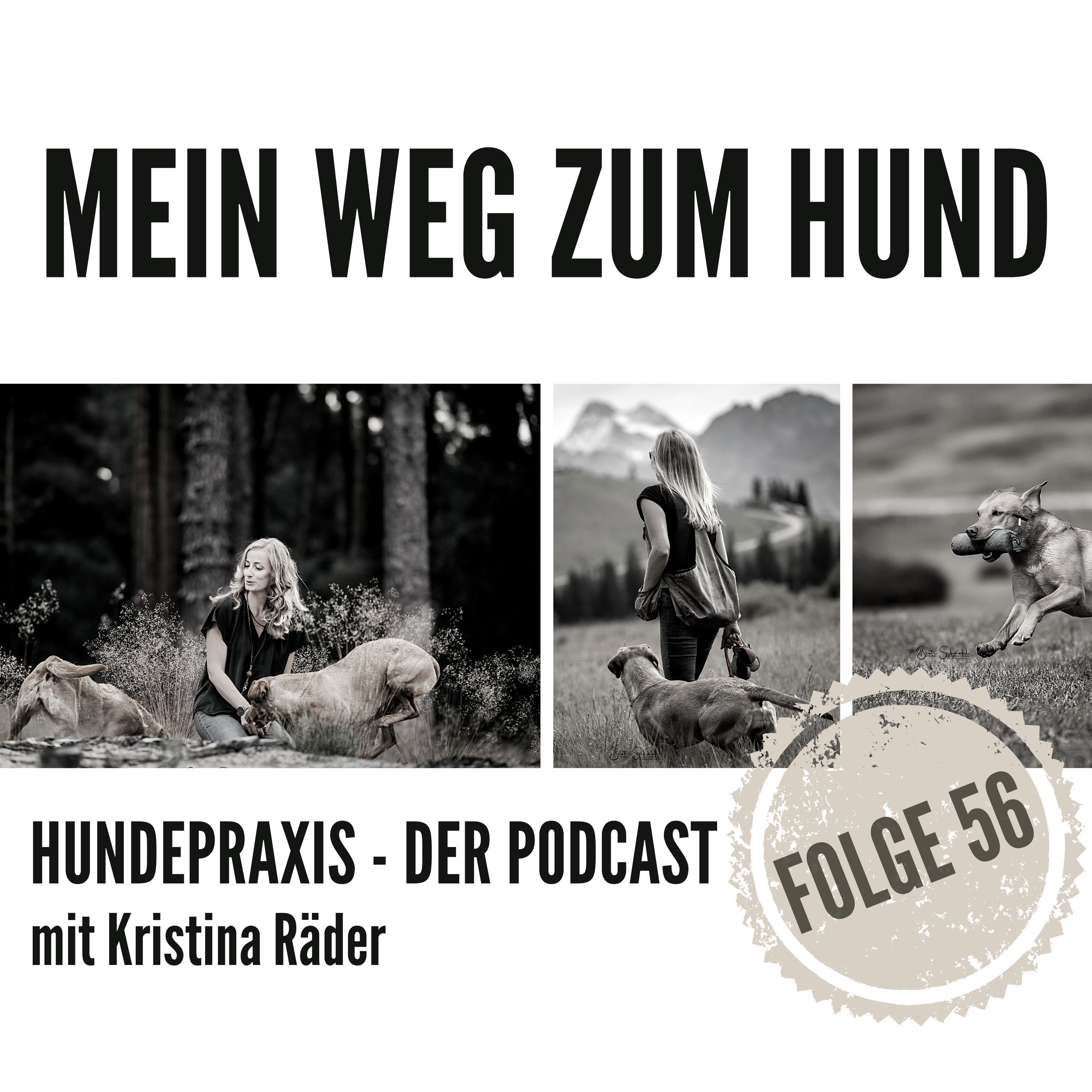 Hundepraxis - der Podcast