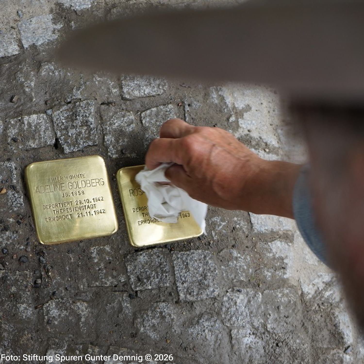 Stolpern mit Kopf und Herz episode artwork