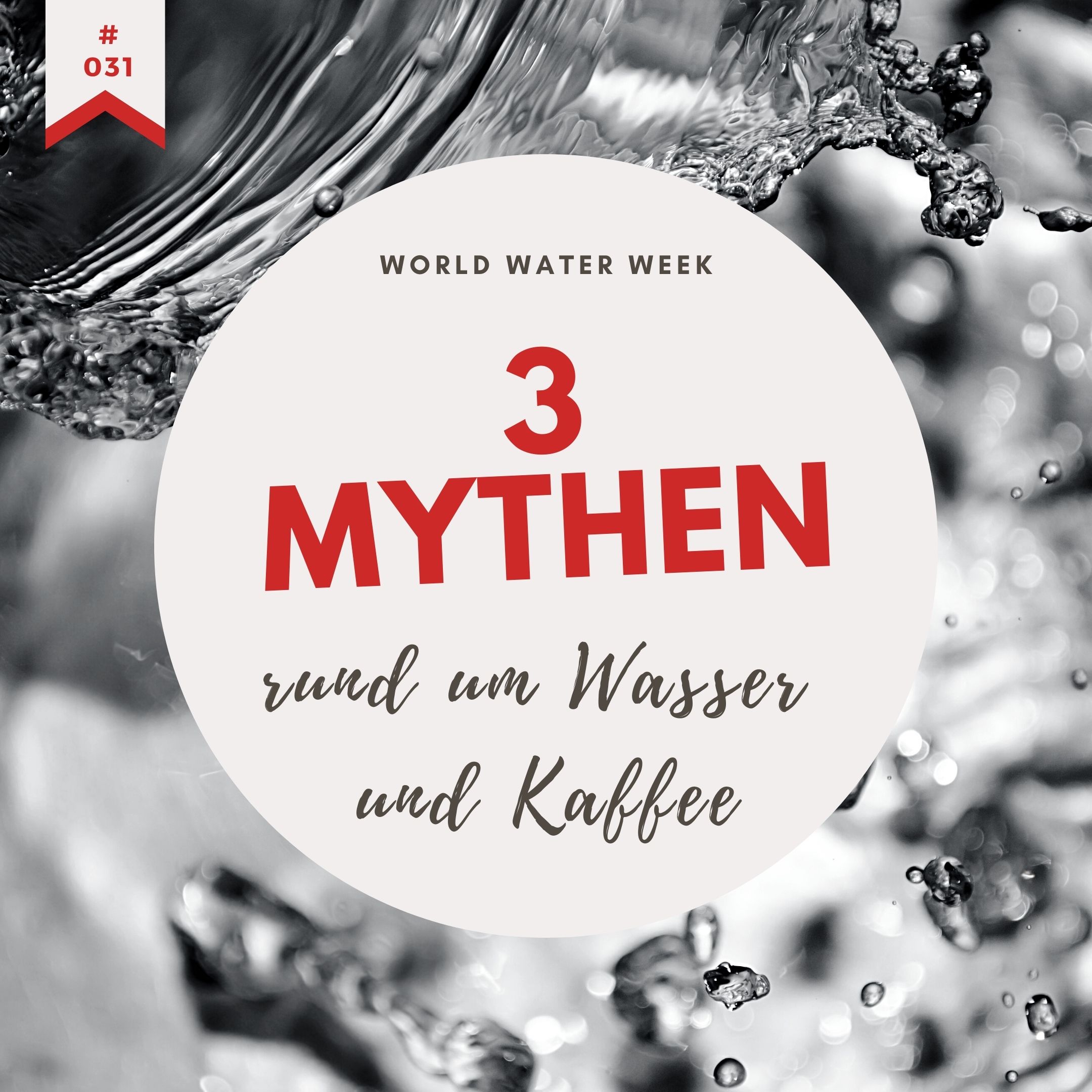9 bar Podcast: Kaffee, Gastro & Co.
