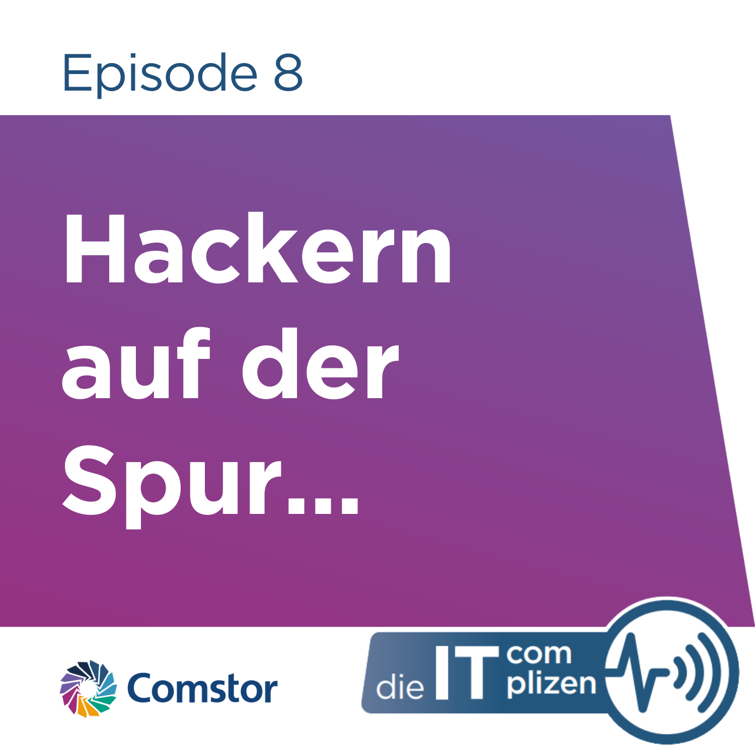 Comstor - Die IT Complizen